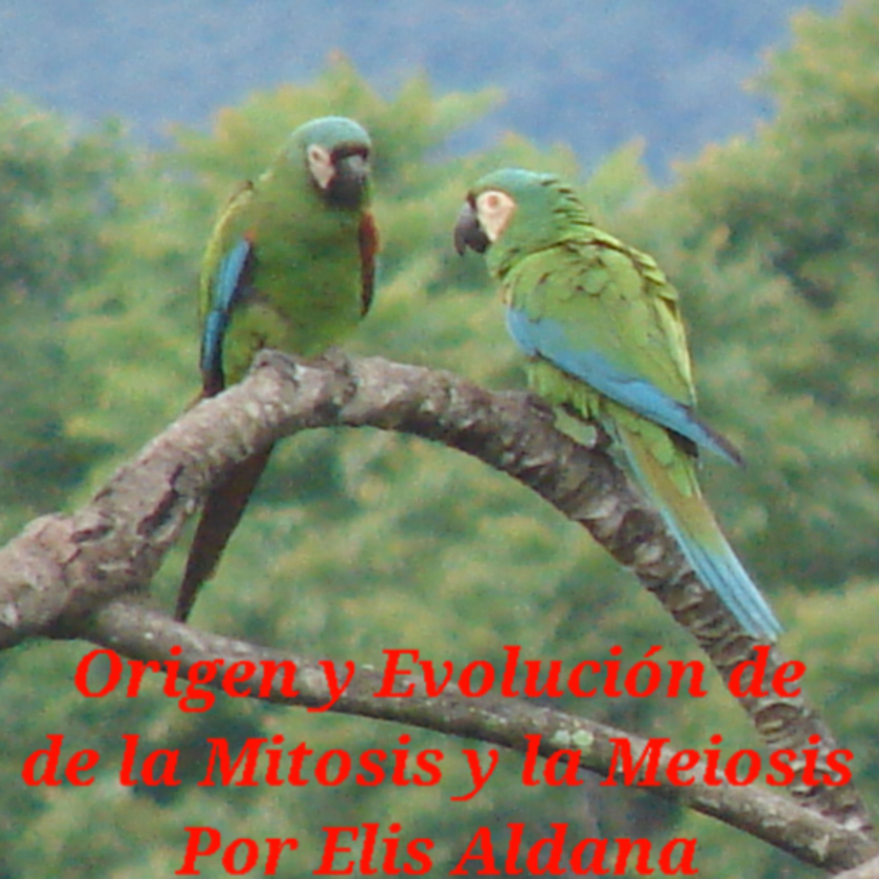 Origen y Evolución de la Mitosis y la Meiosis episode artwork