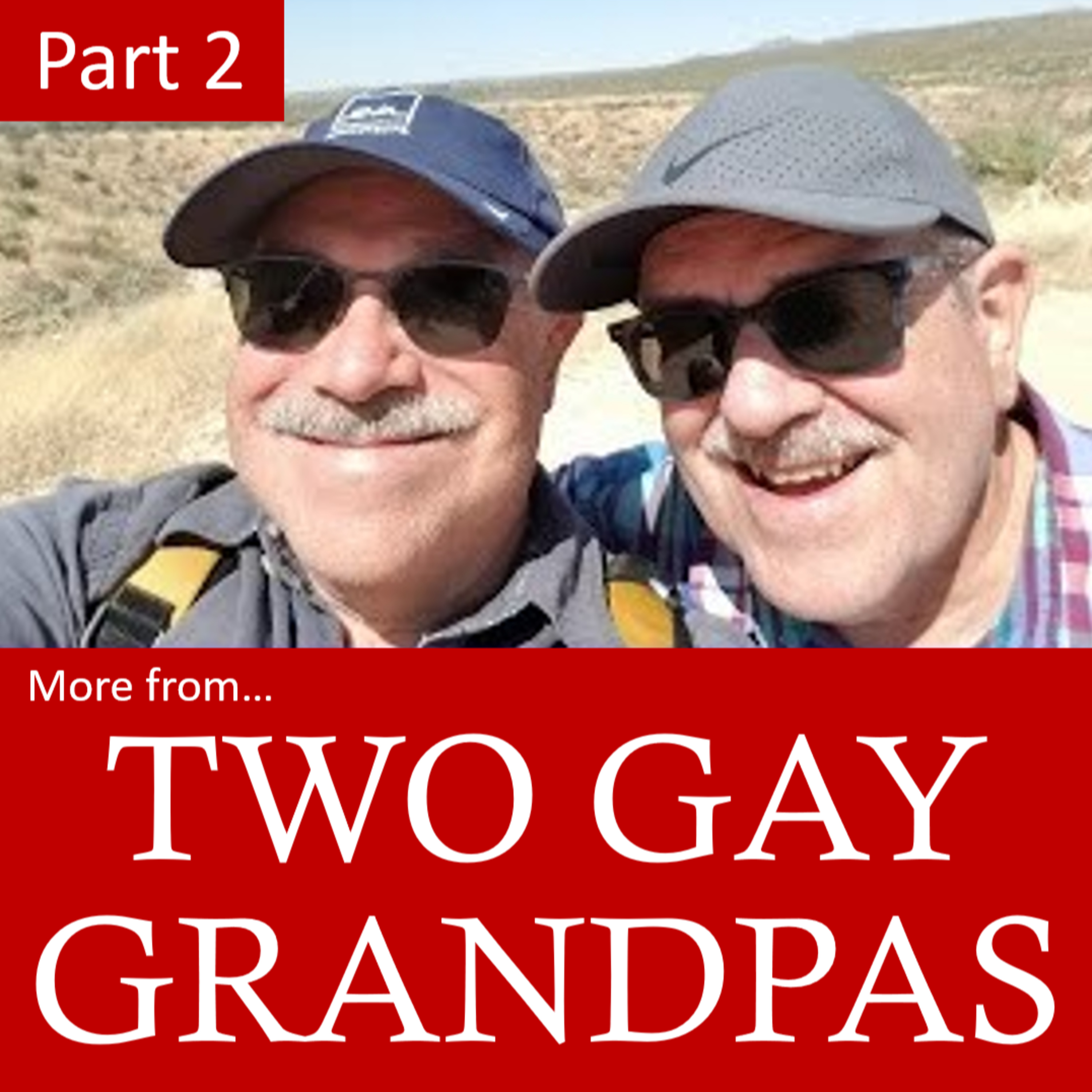 41. Parenting, Teen Suicide and More: Two Gay Grandpas, Part 2 episode artwork