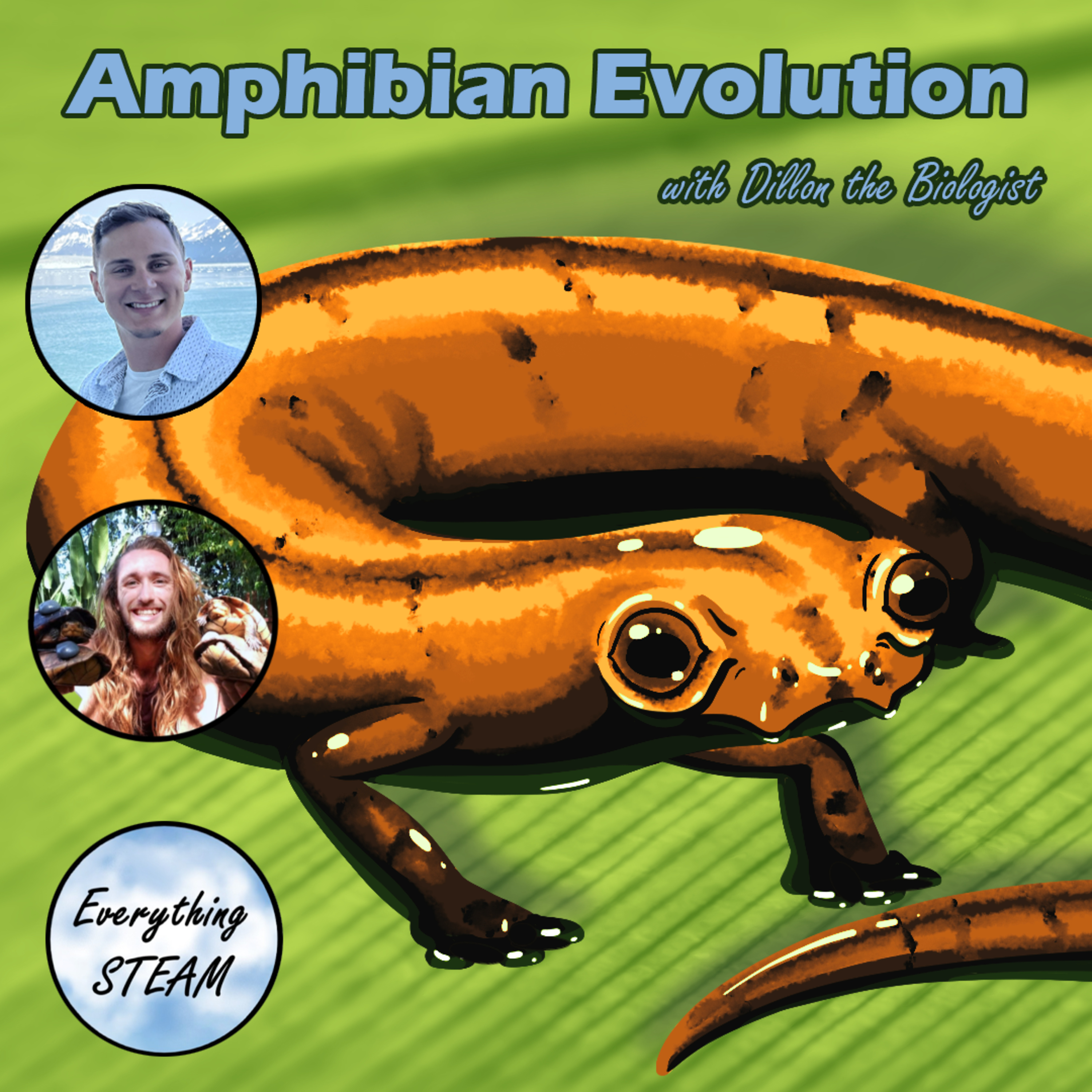 Amphibian Evolution episode artwork