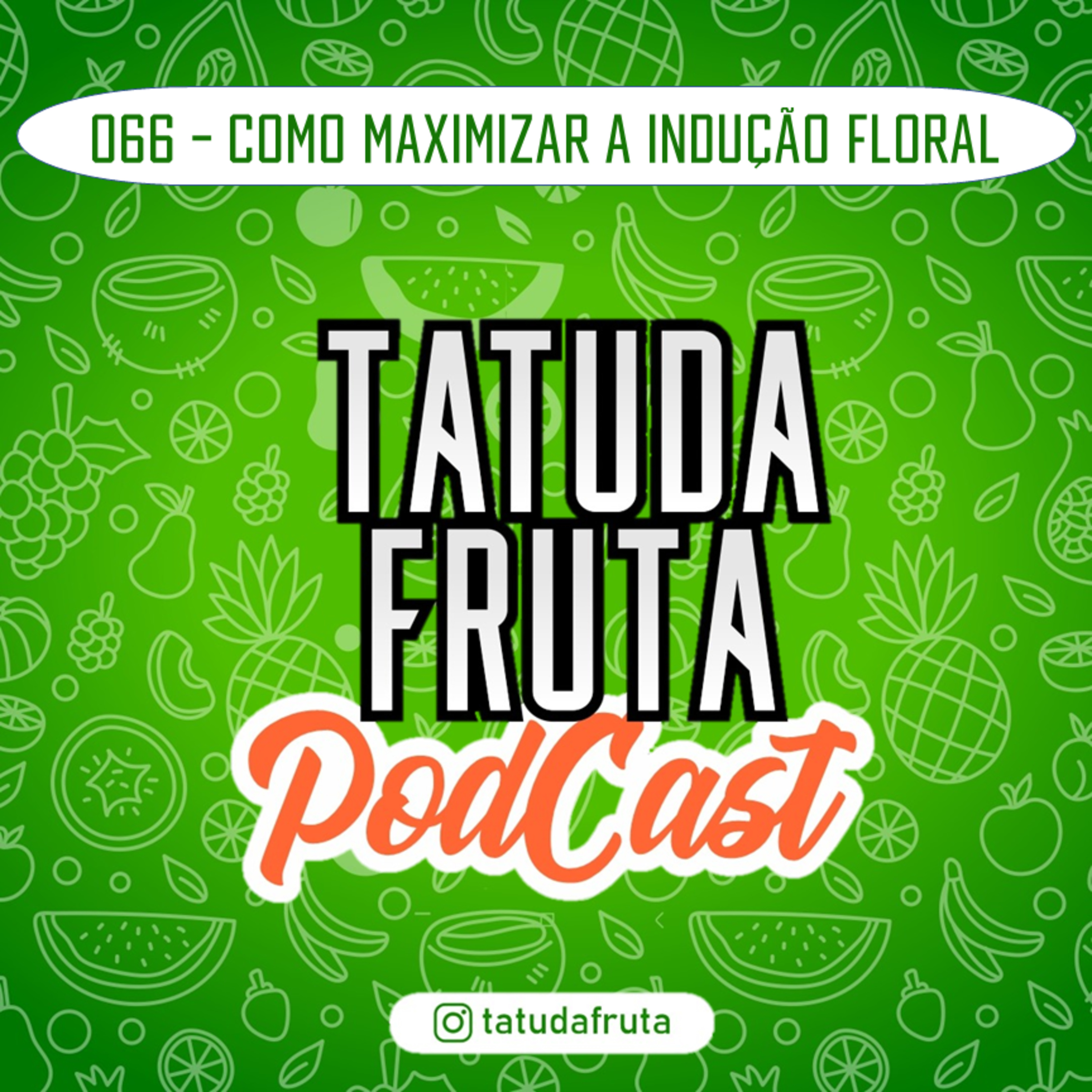 TATUDAFRUTA PODCAST