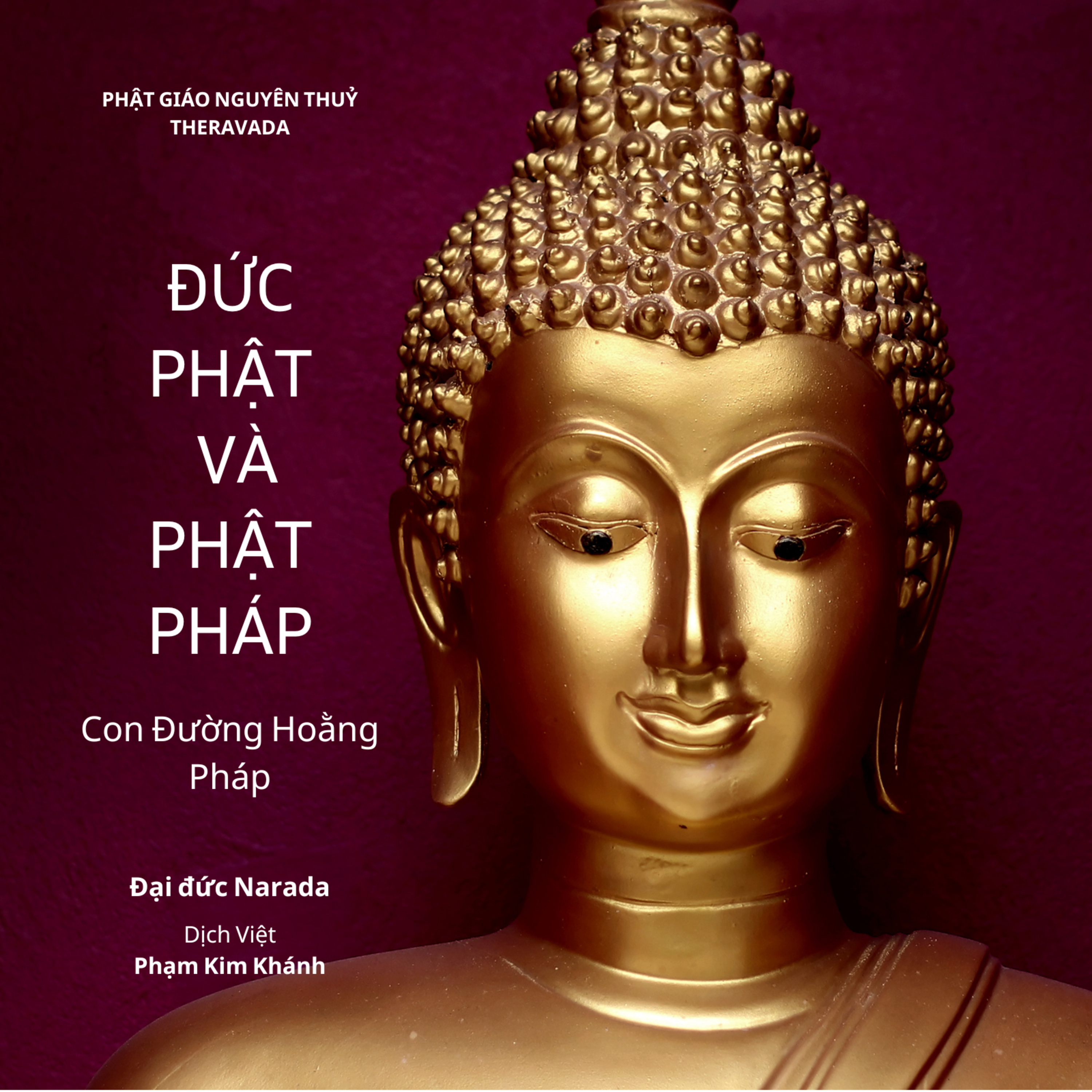 Viet Hung - Author | Speaker | A Happiness Pursuer