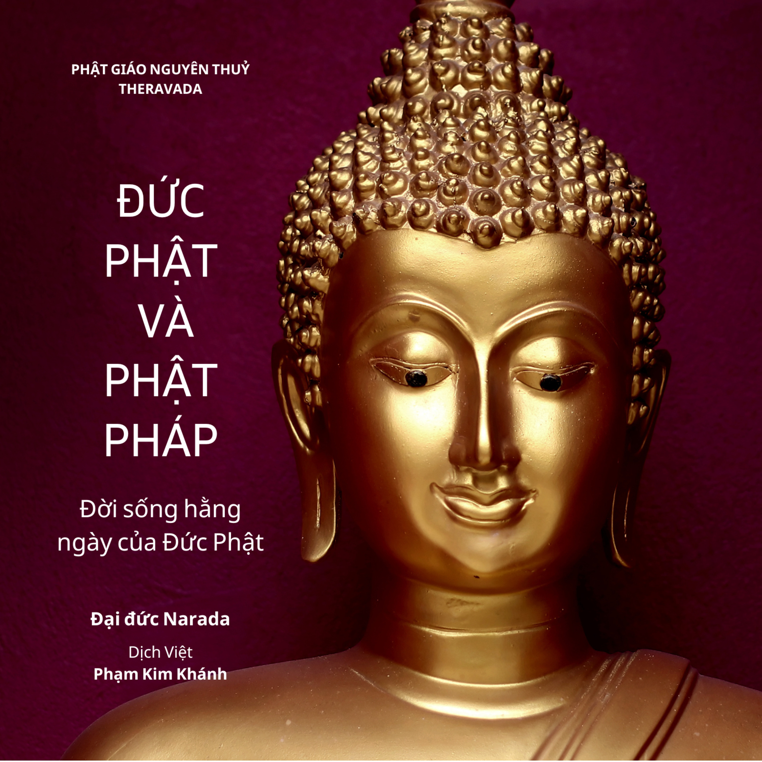 Viet Hung - Author | Speaker | A Happiness Pursuer
