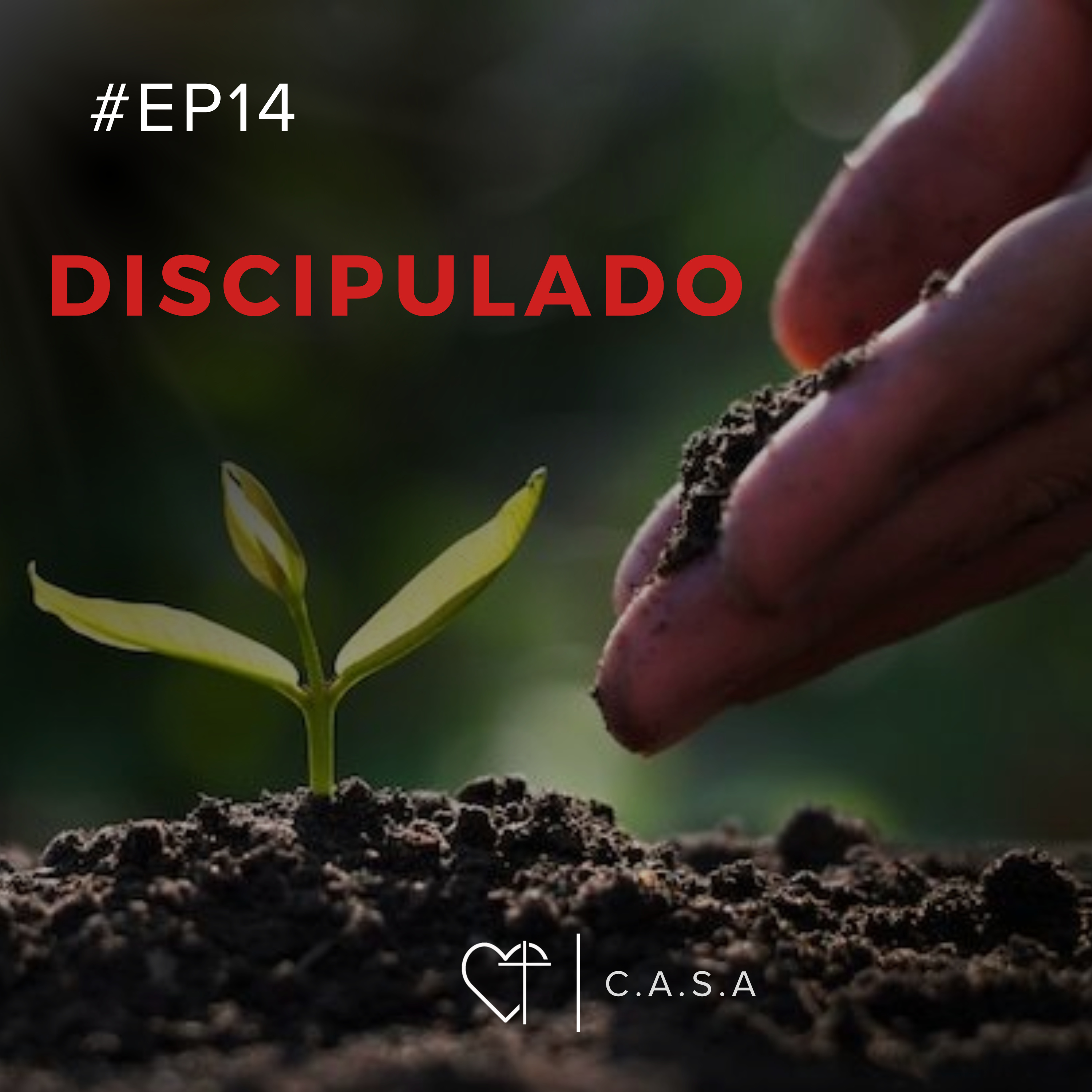 Discipulado e as responsabiblidades do discípulo. episode artwork