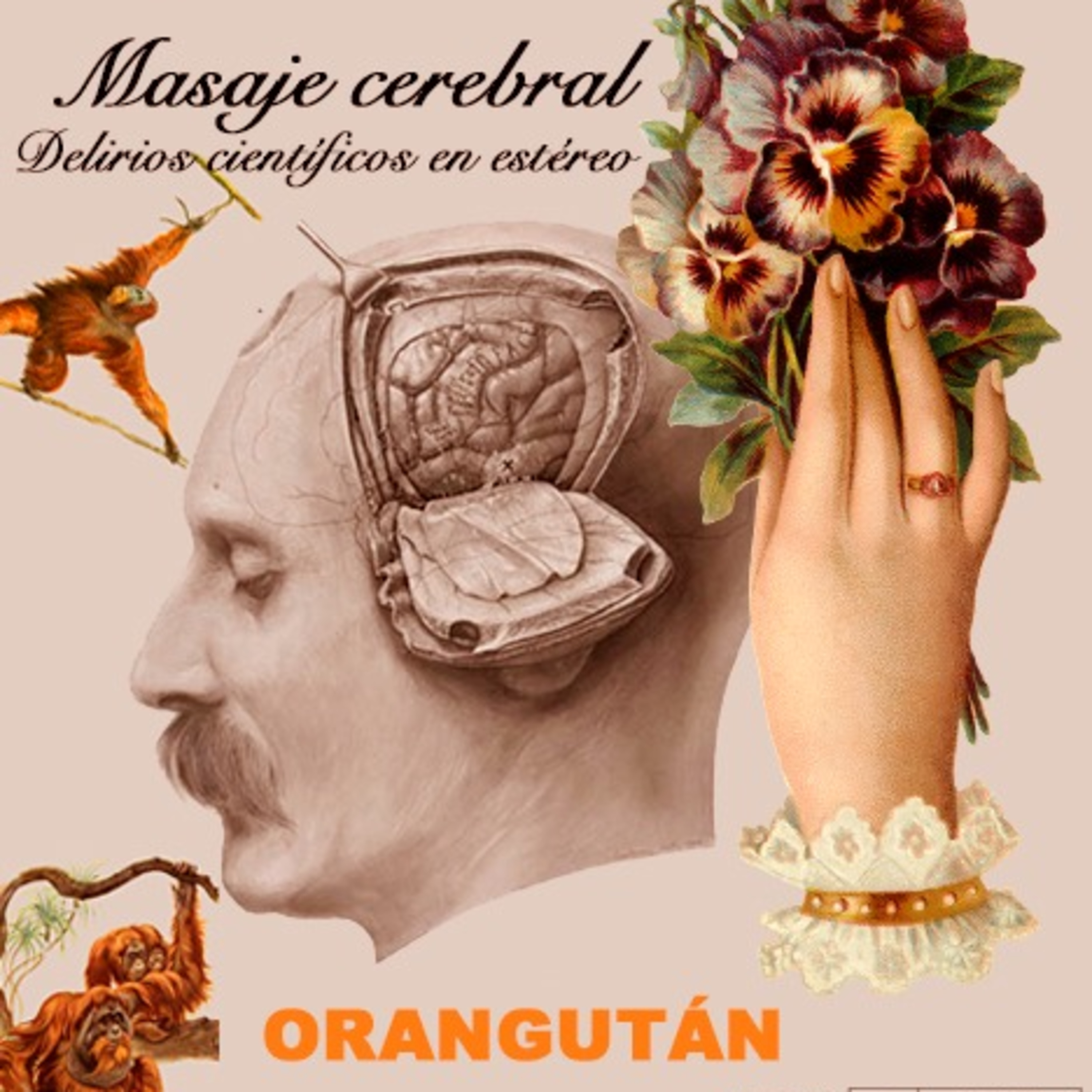 Masaje cerebral