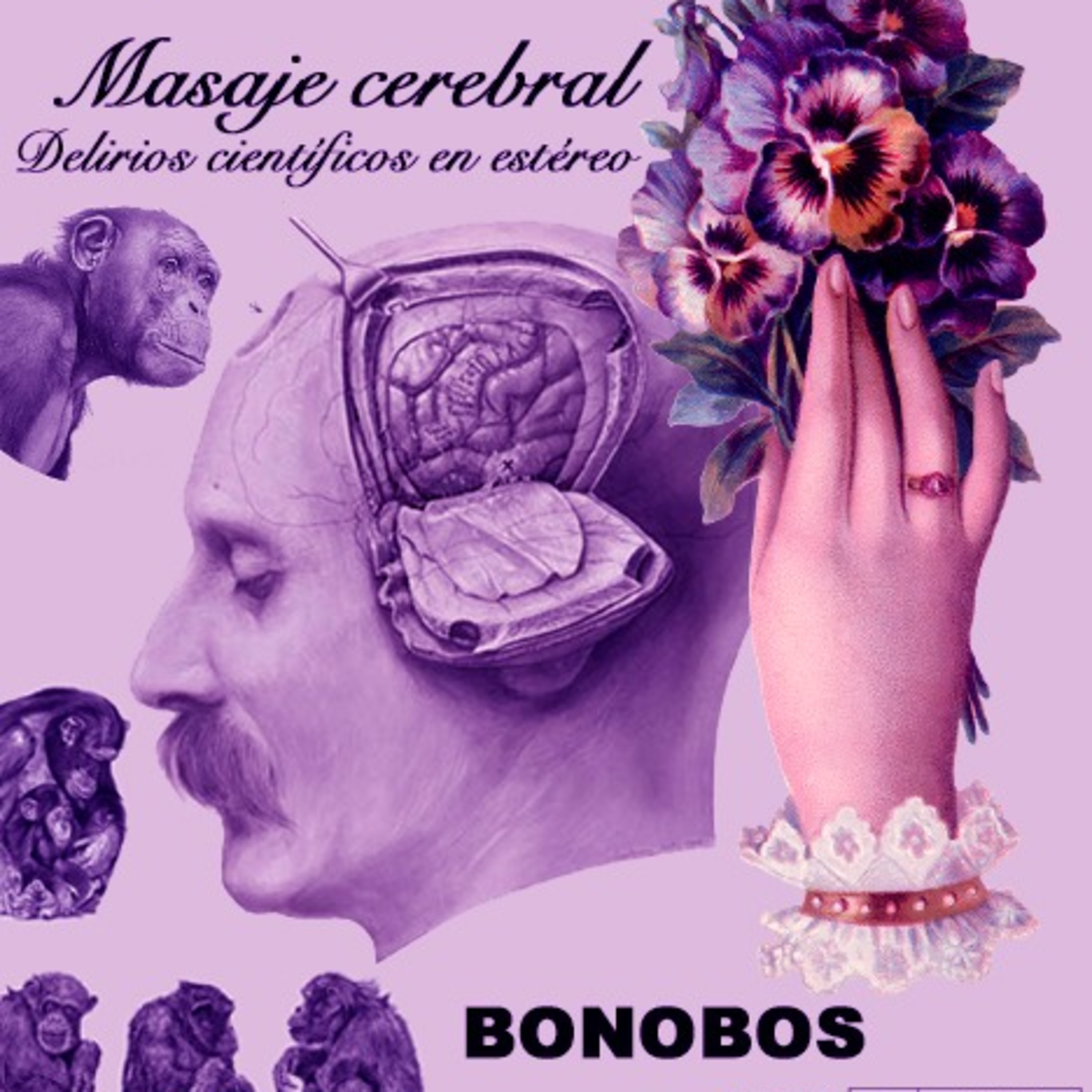 Masaje cerebral