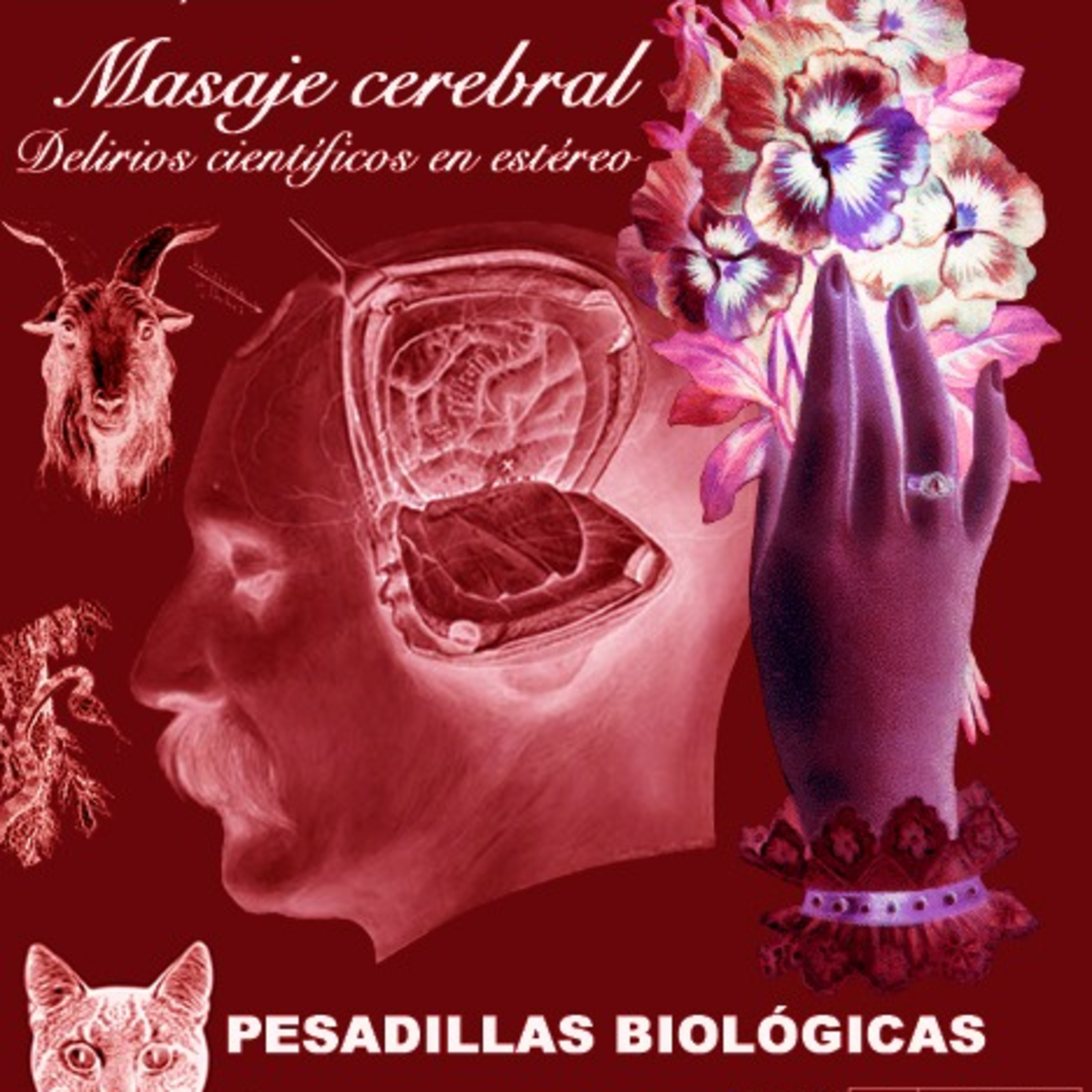Masaje cerebral