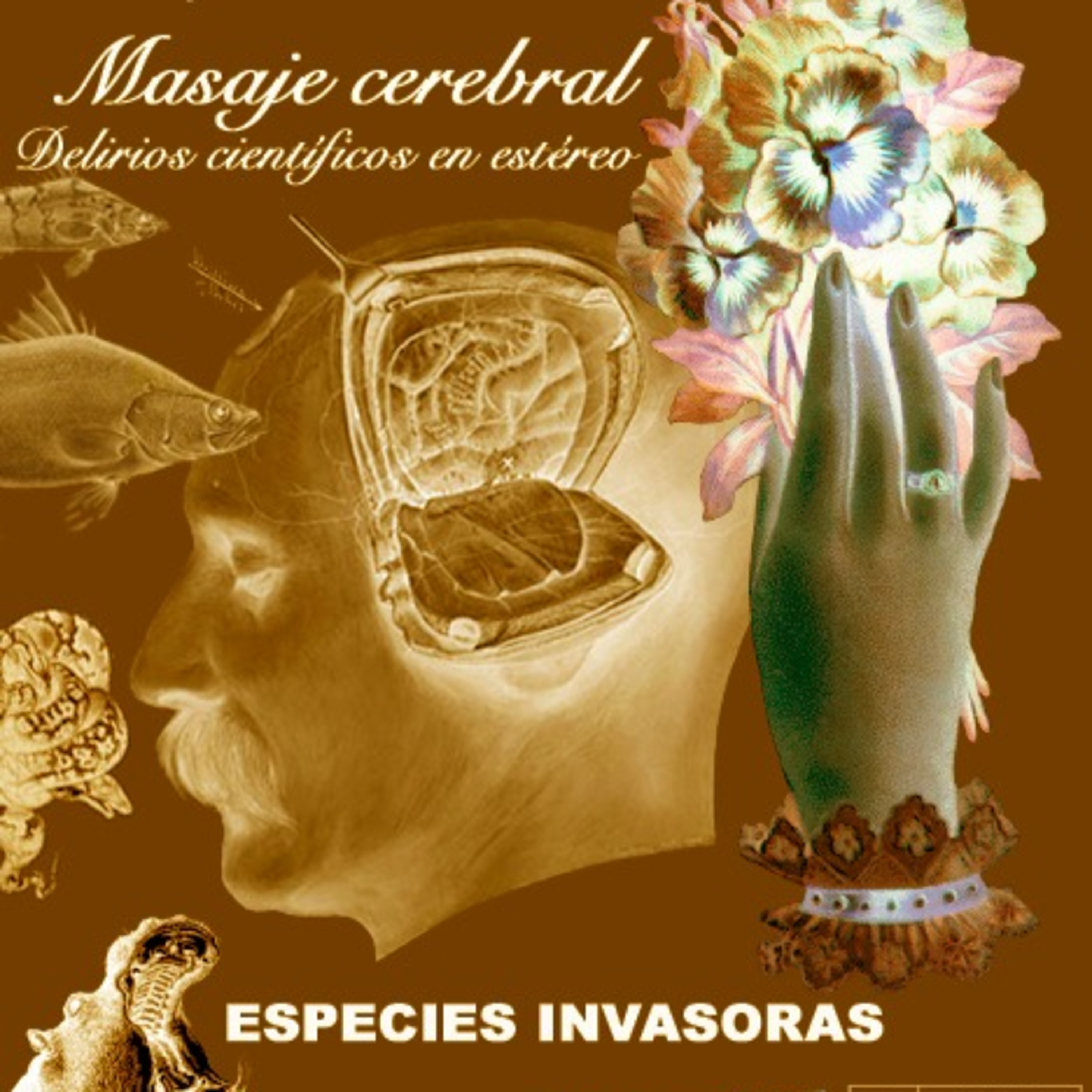 Masaje cerebral