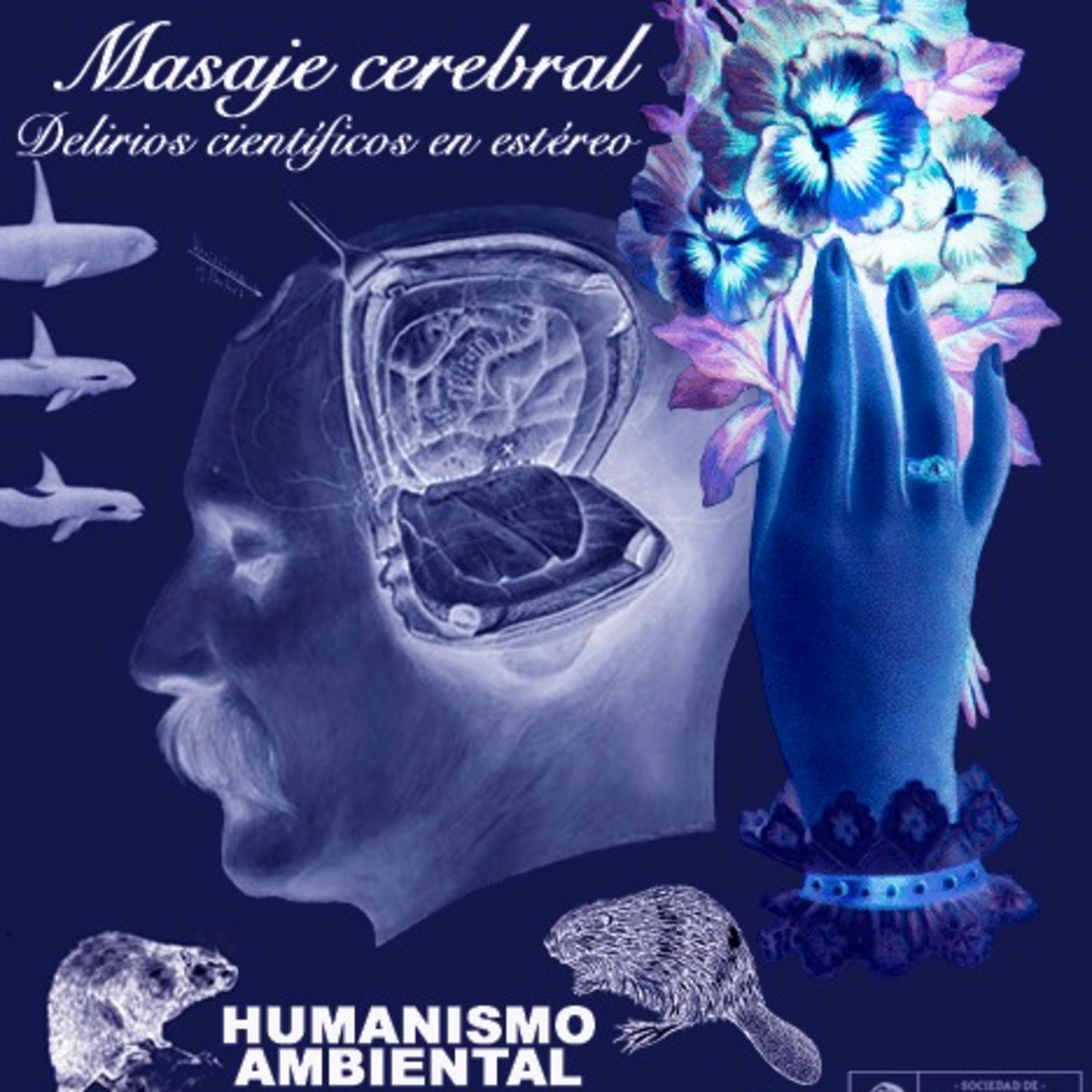Masaje cerebral