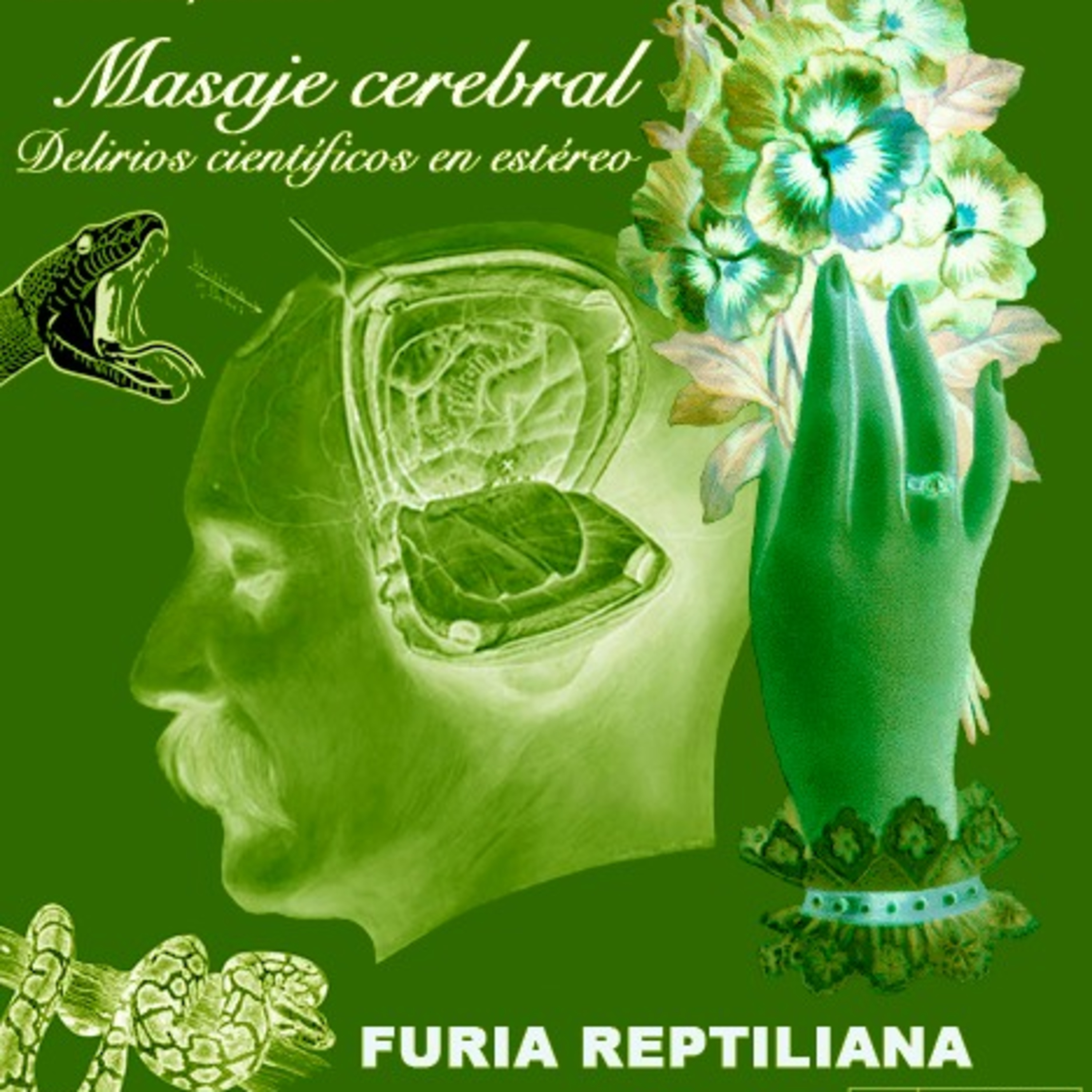 Masaje cerebral