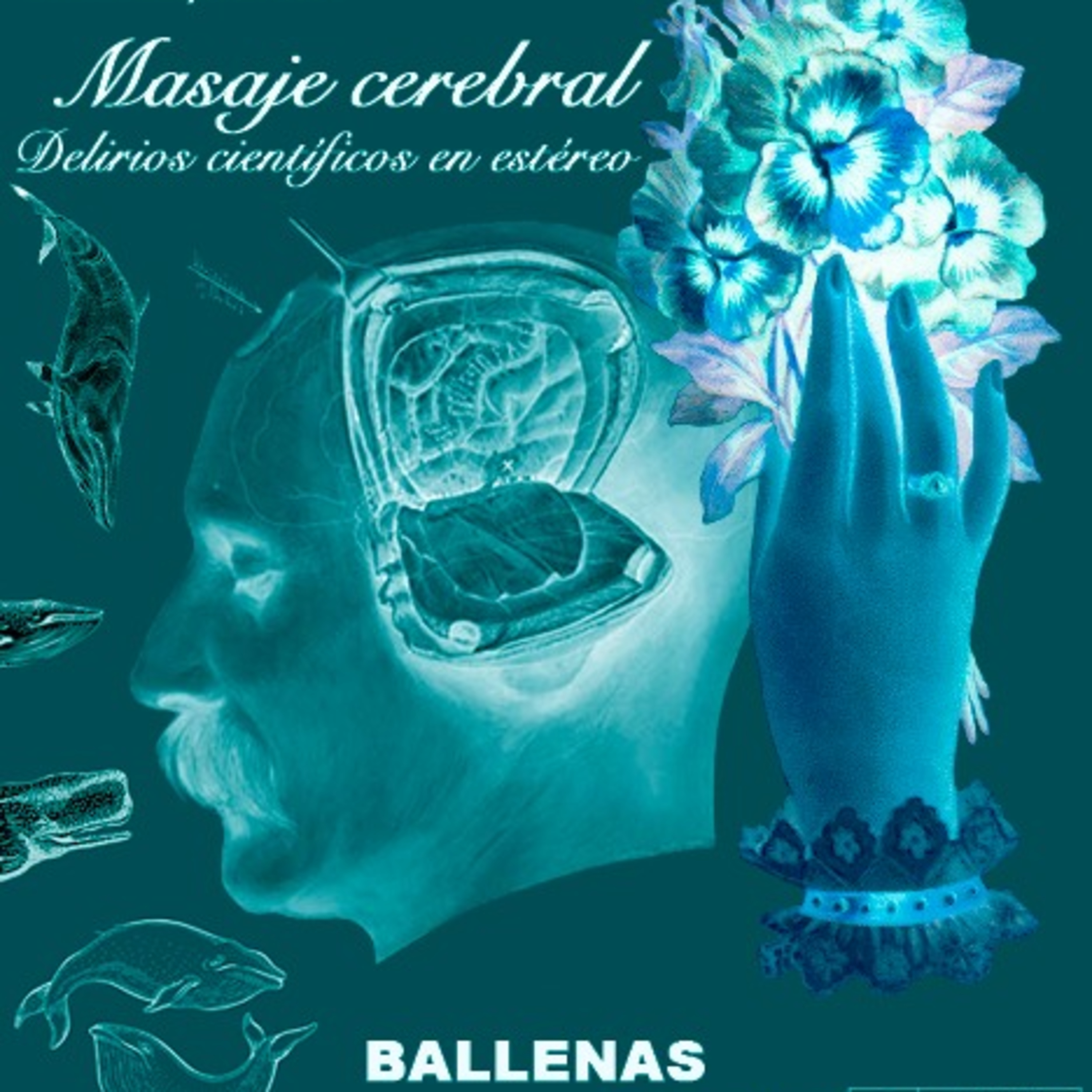Masaje cerebral