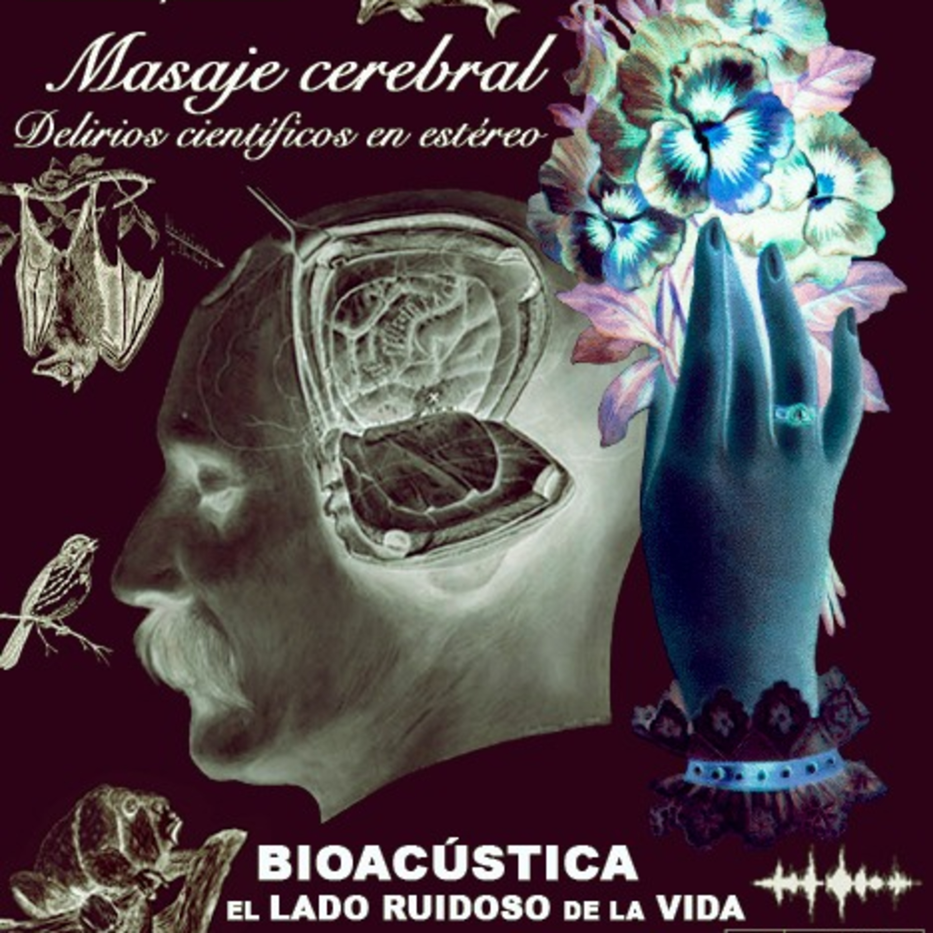Masaje cerebral