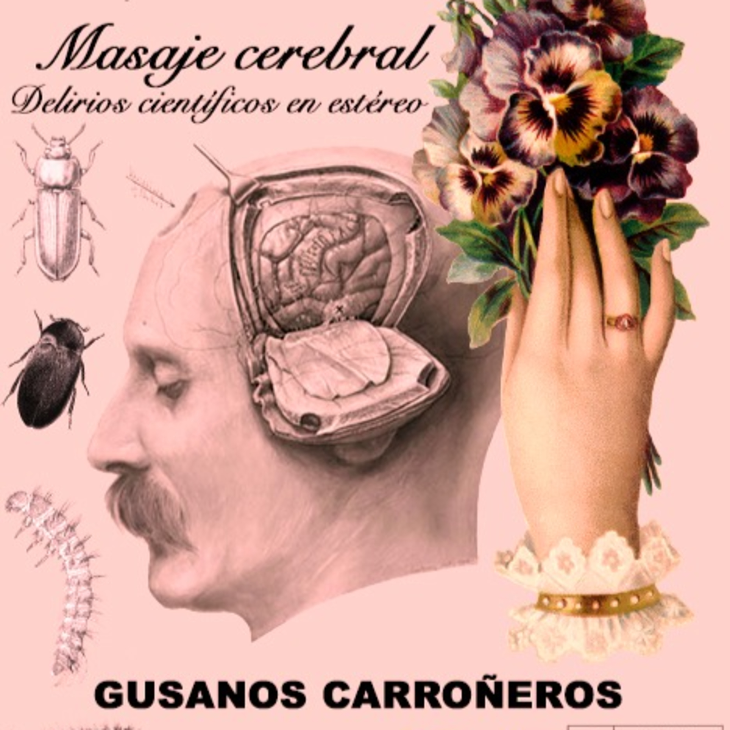 Masaje cerebral