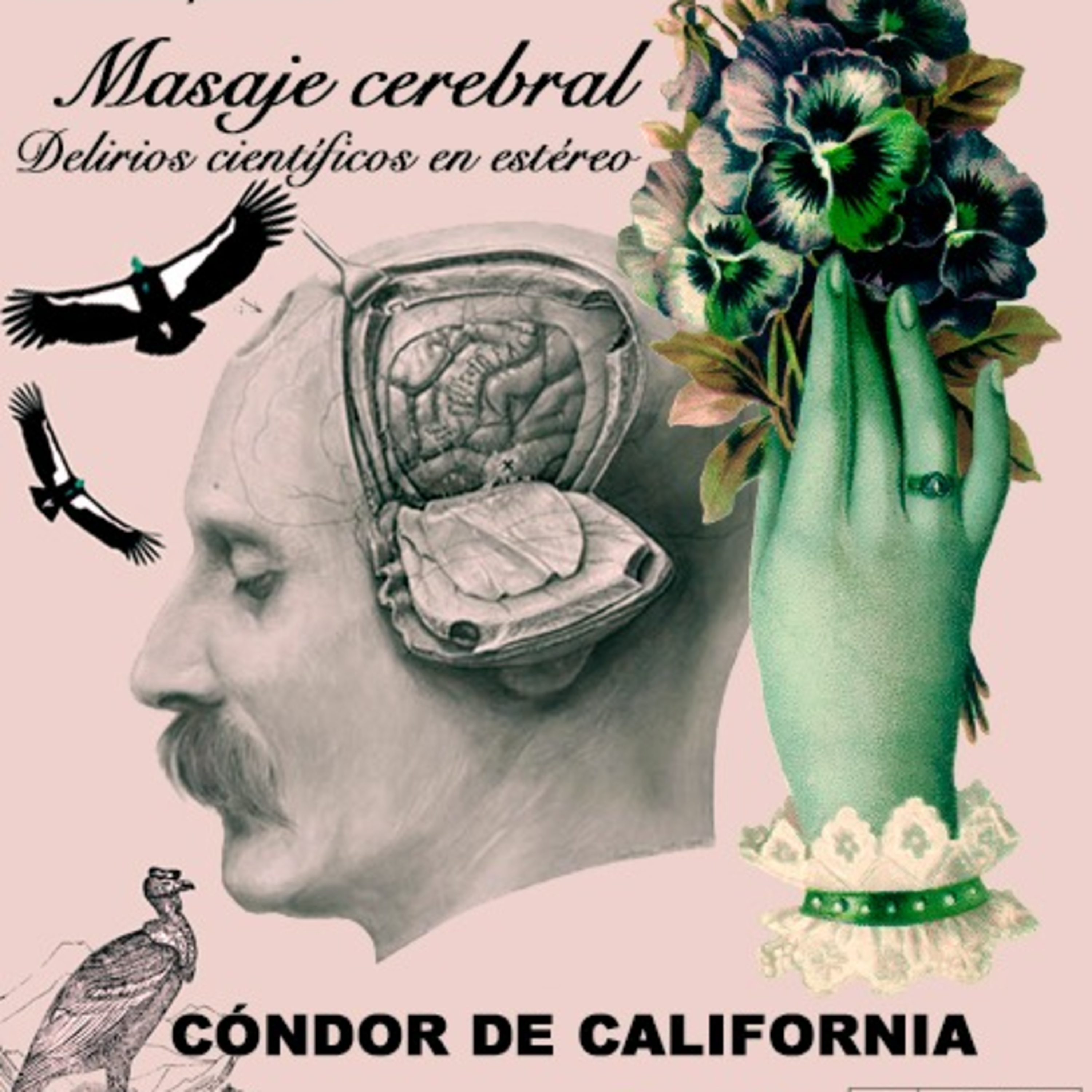 Masaje cerebral