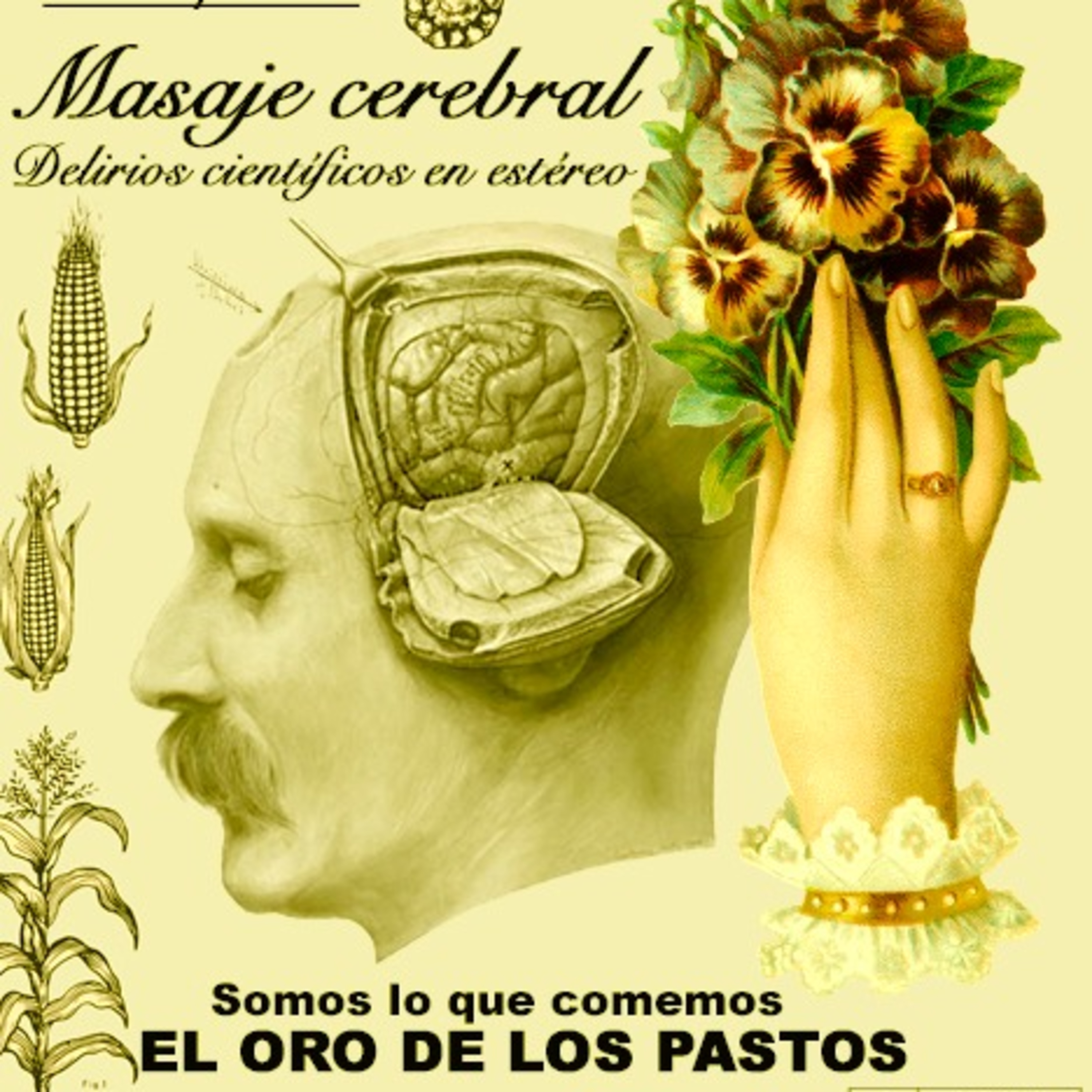 Masaje cerebral