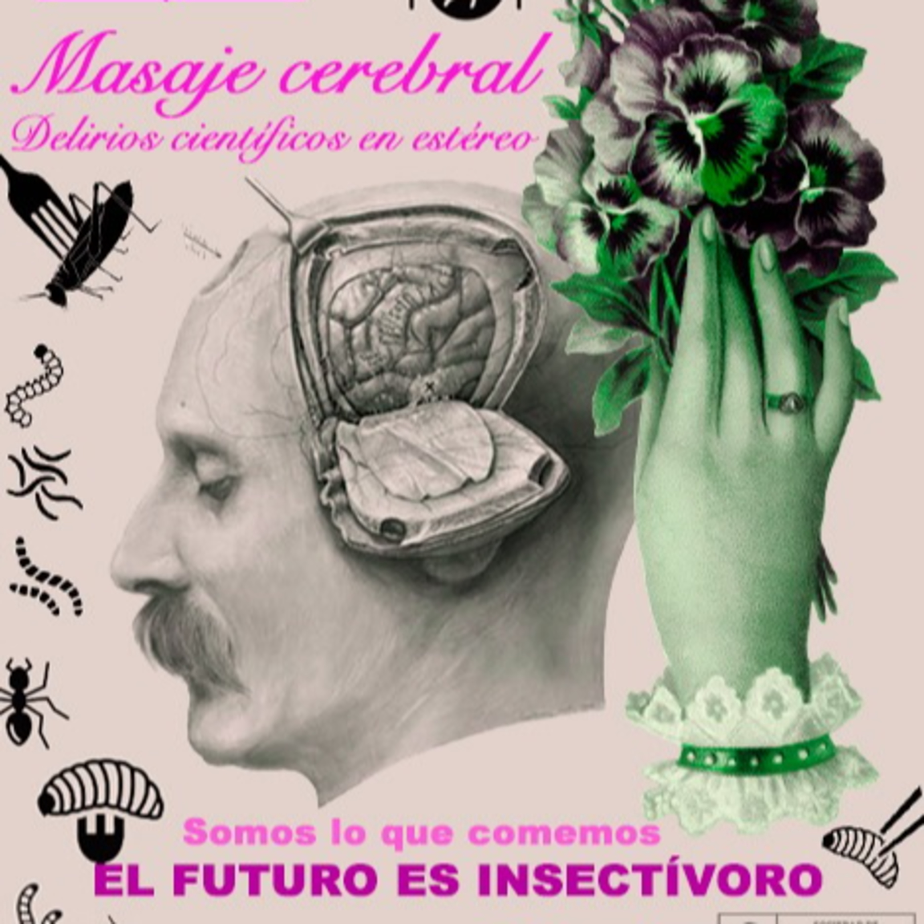 Masaje cerebral