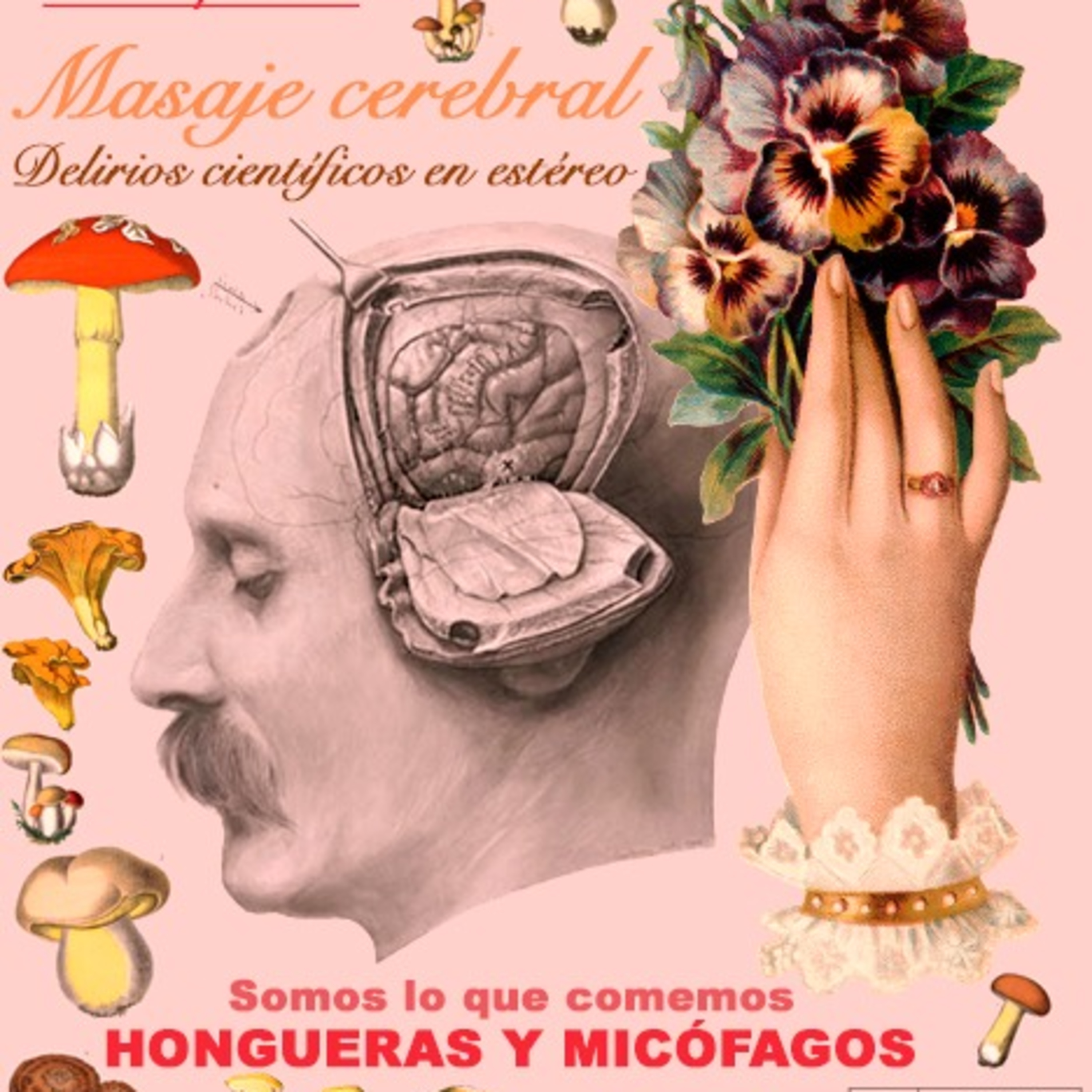 Masaje cerebral