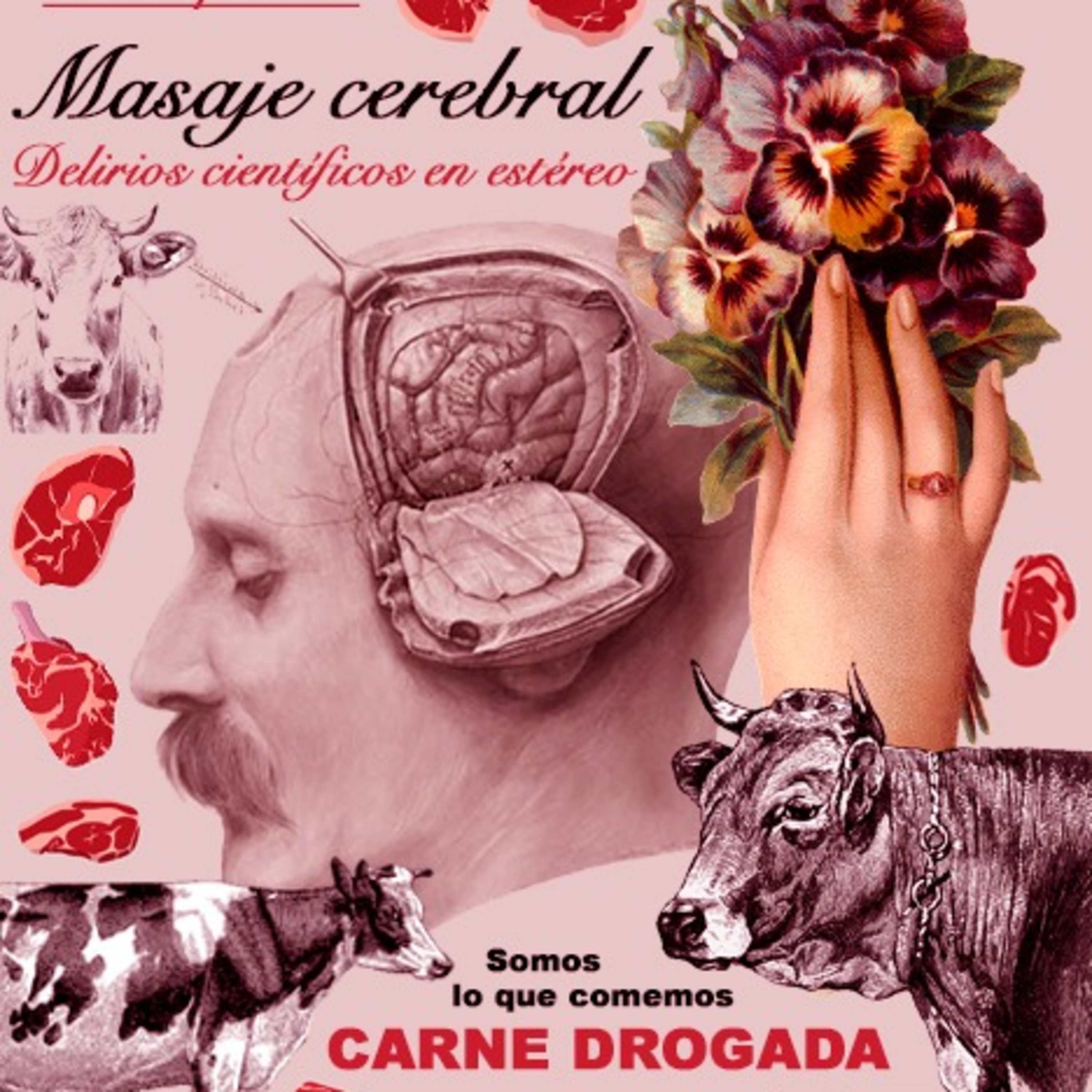 Masaje cerebral