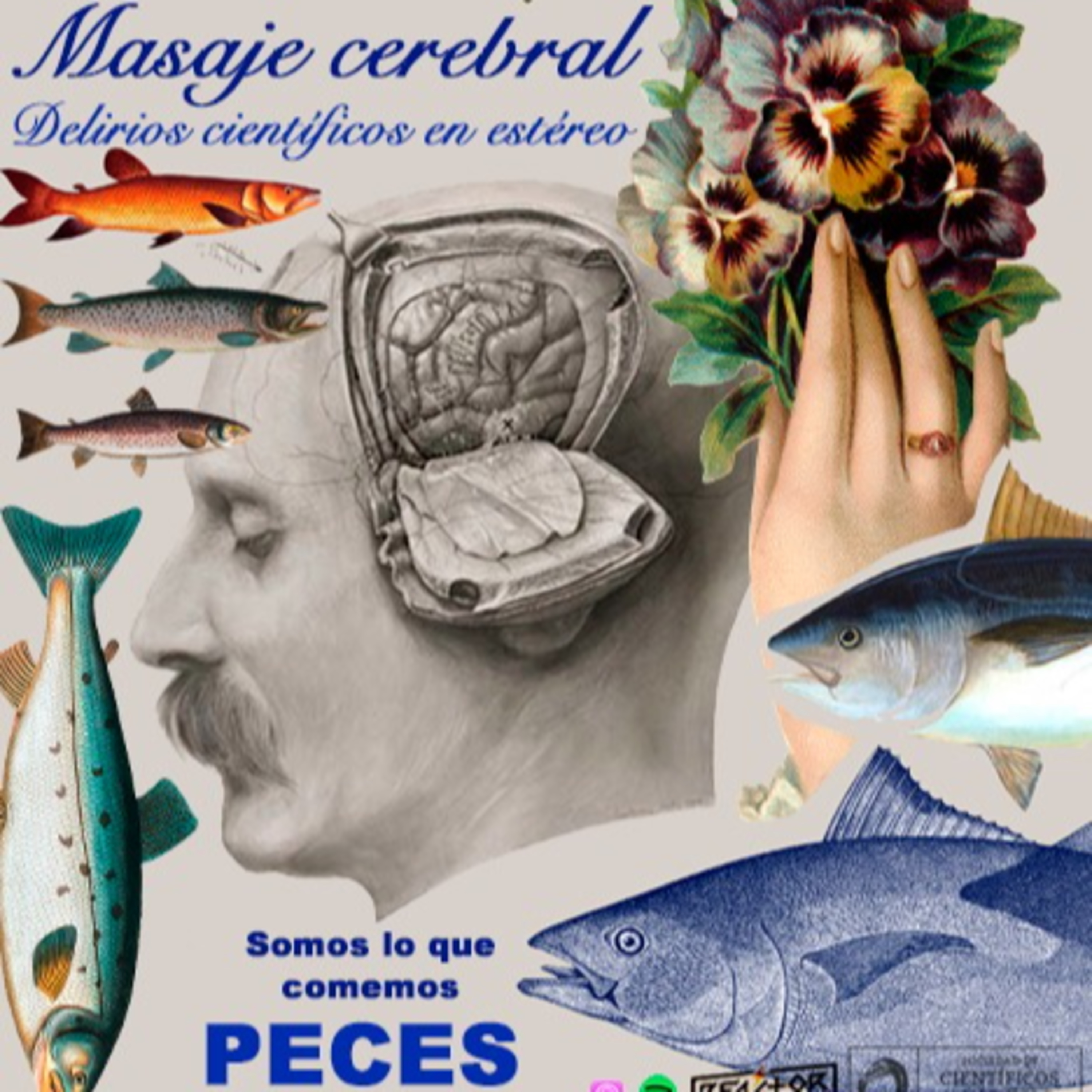 Masaje cerebral