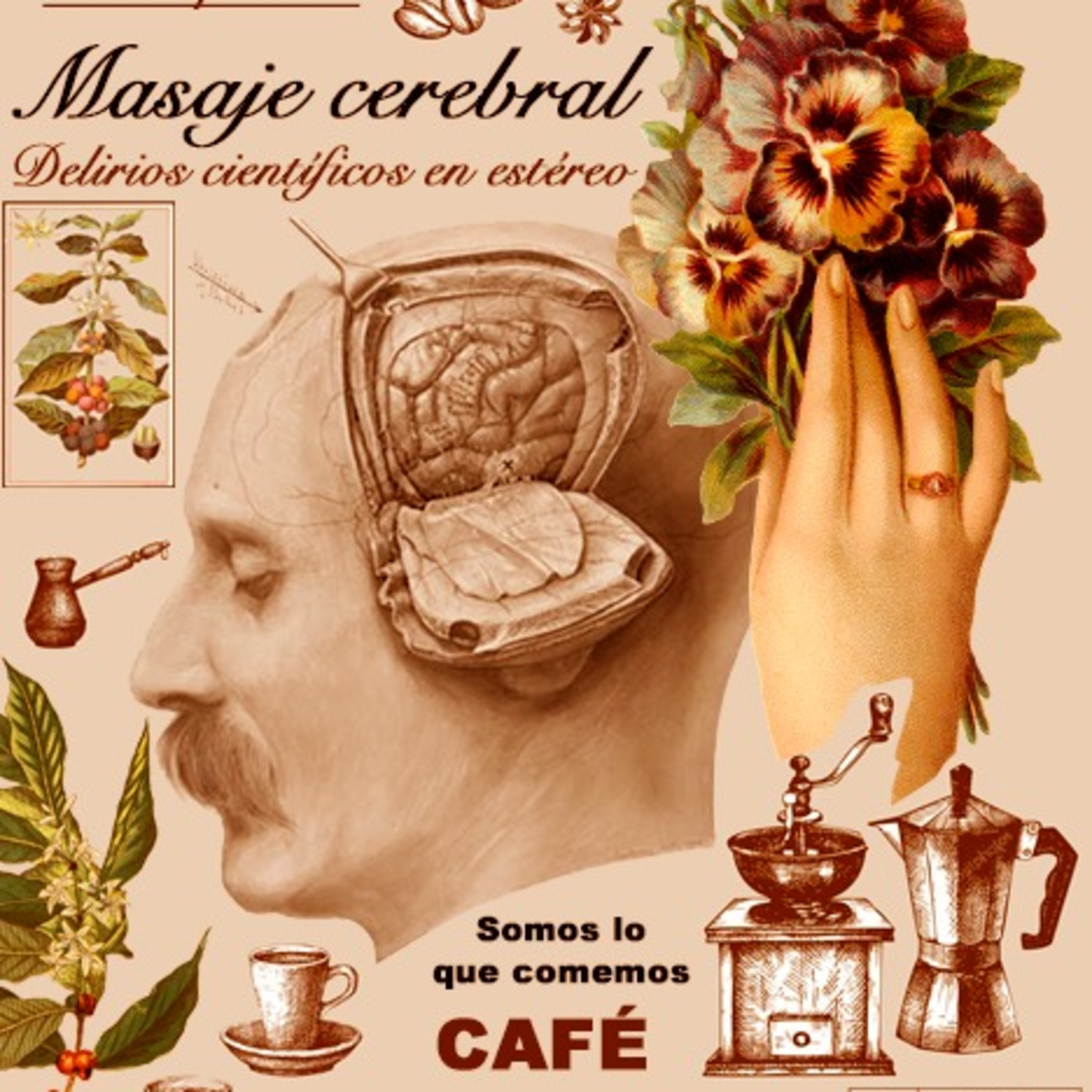 Masaje cerebral