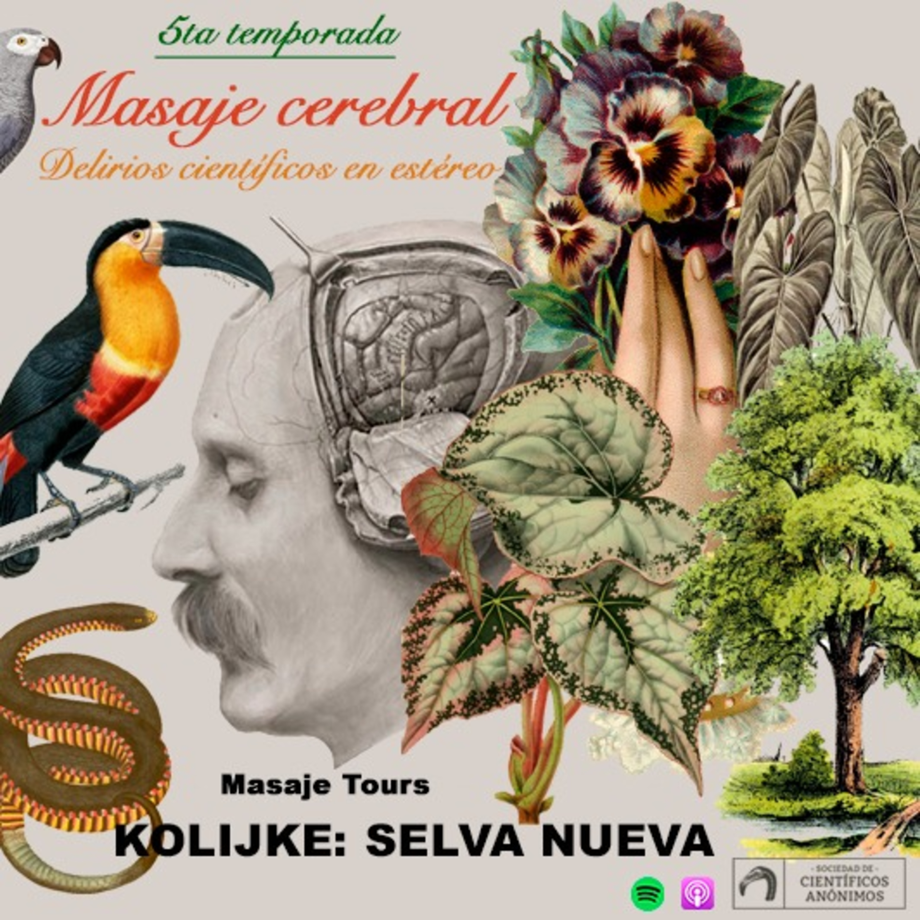 Masaje cerebral