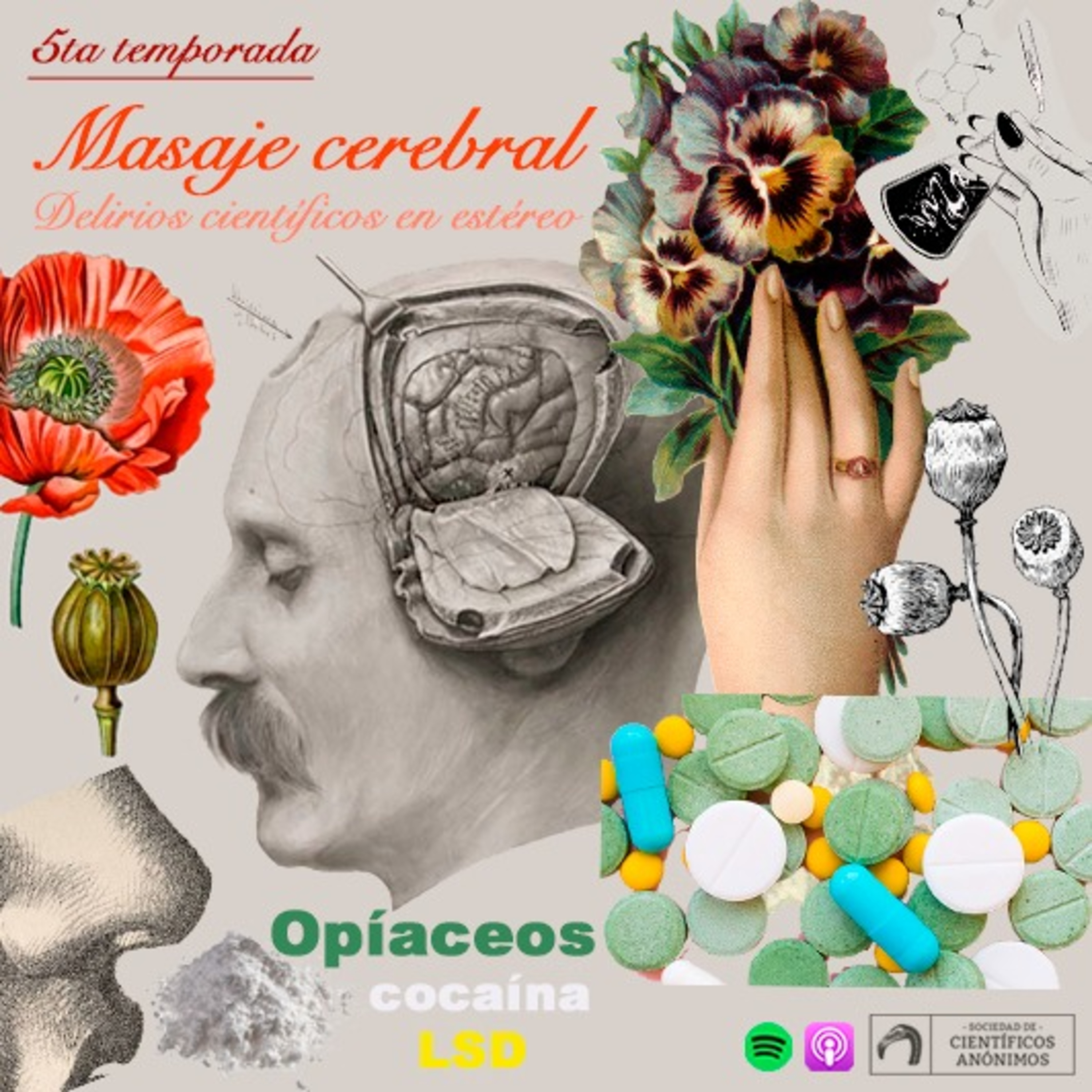 Masaje cerebral