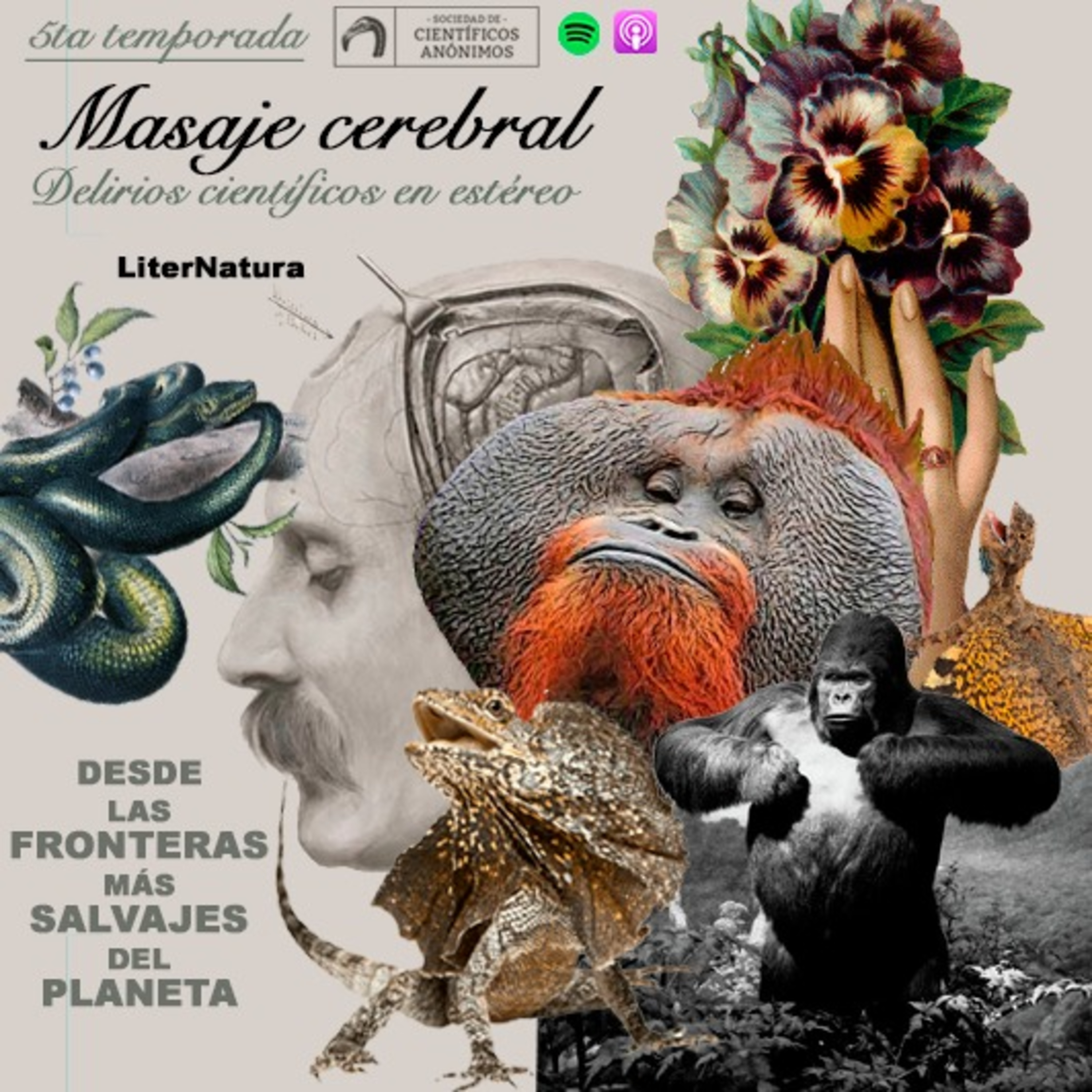 Masaje cerebral