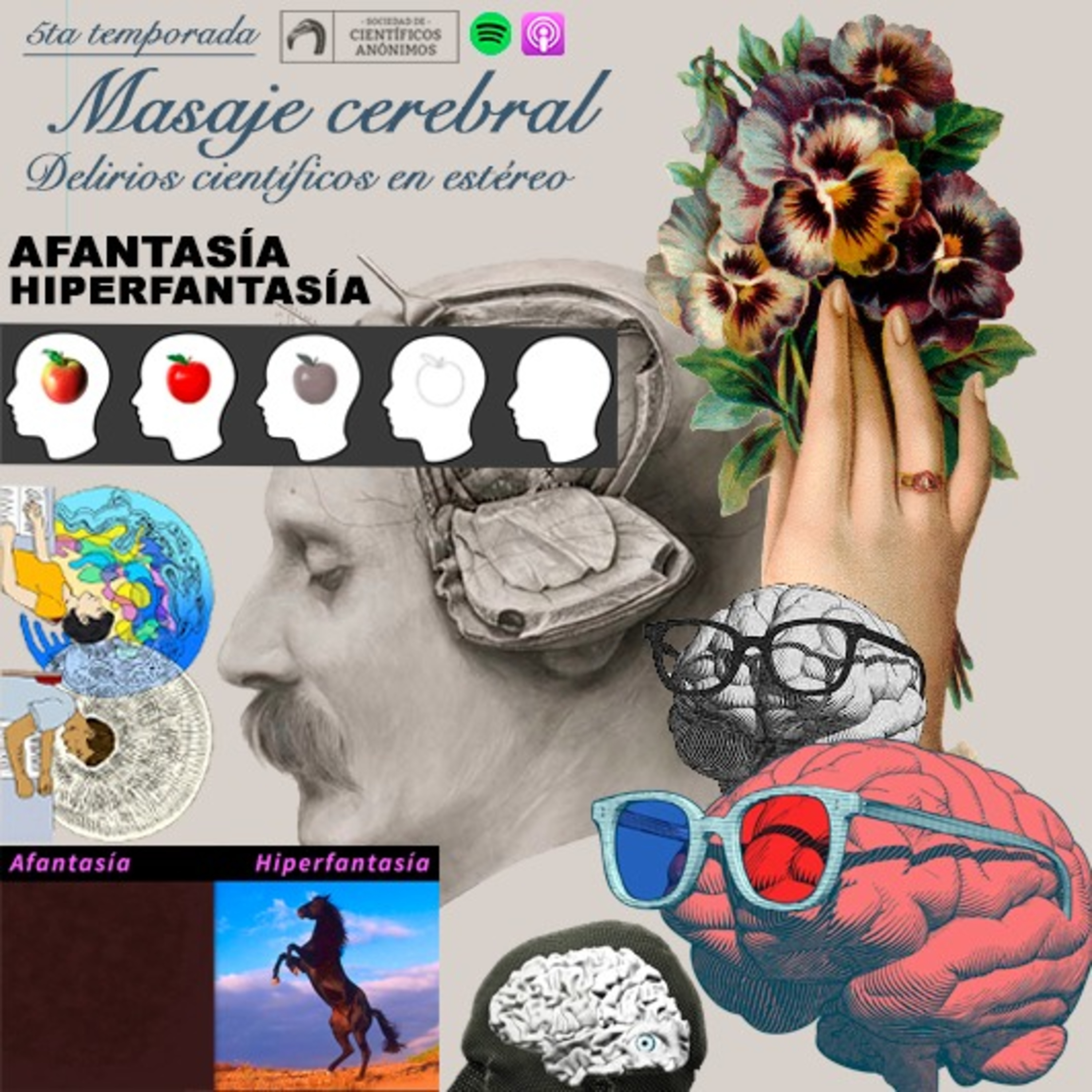 Masaje cerebral