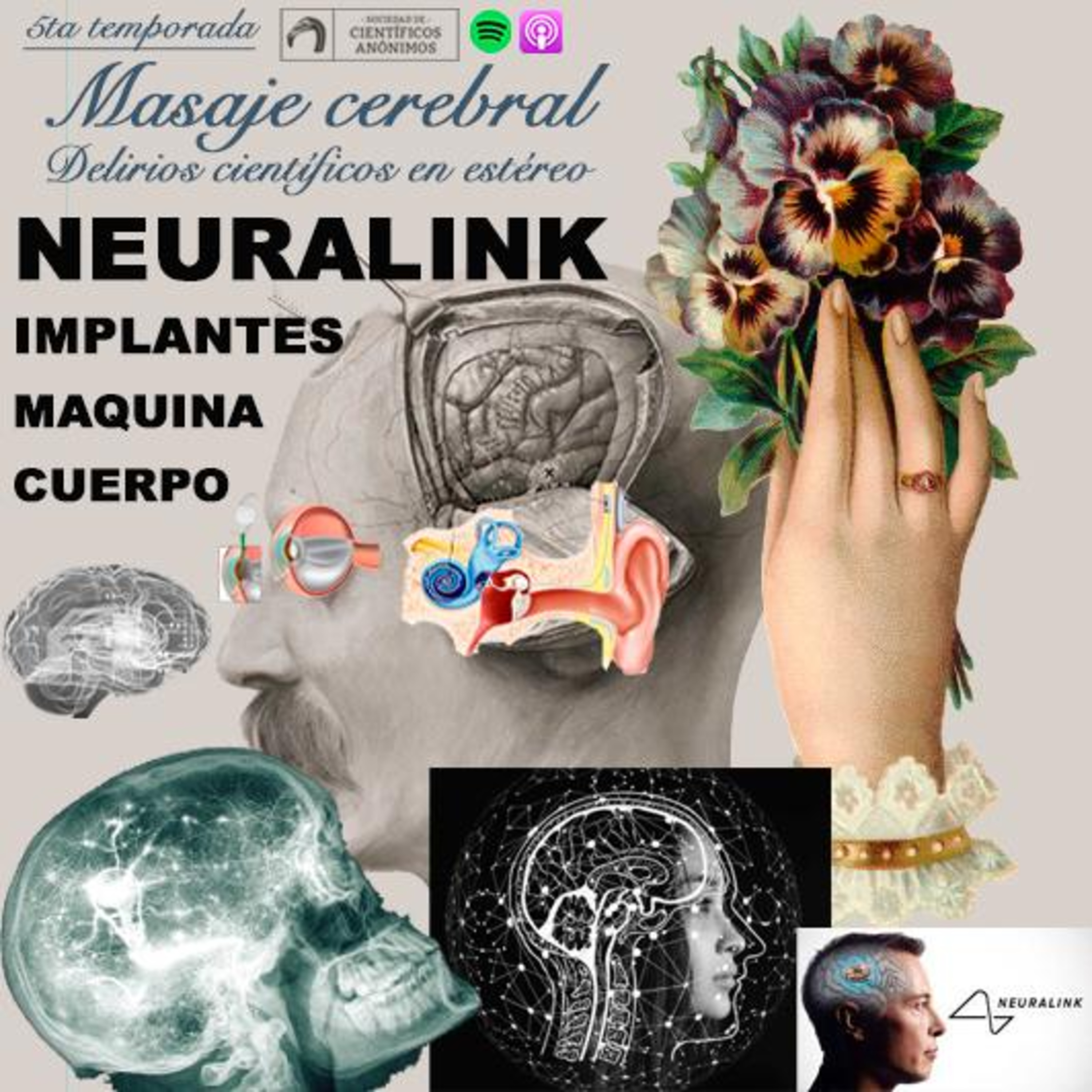 Masaje cerebral