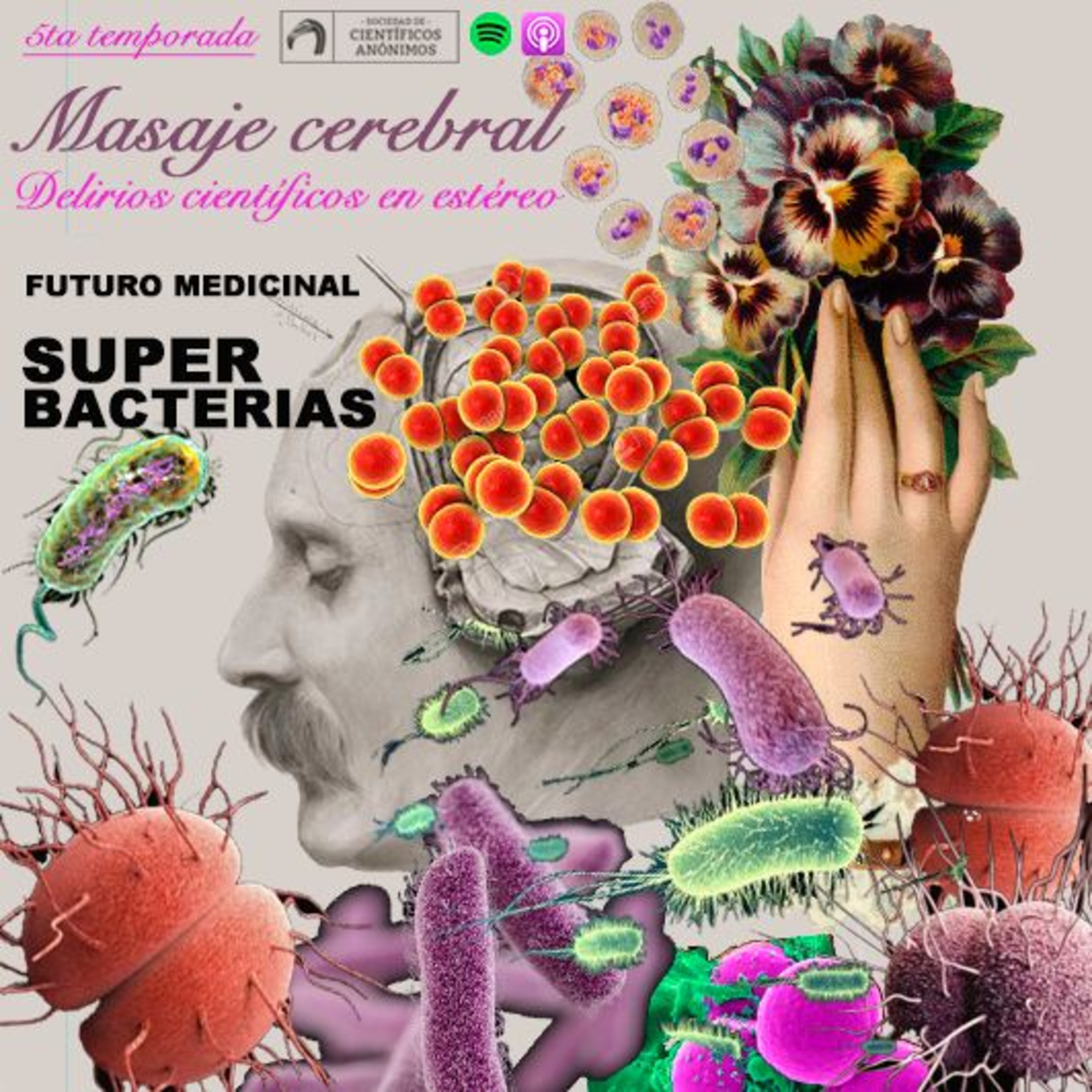 Masaje cerebral