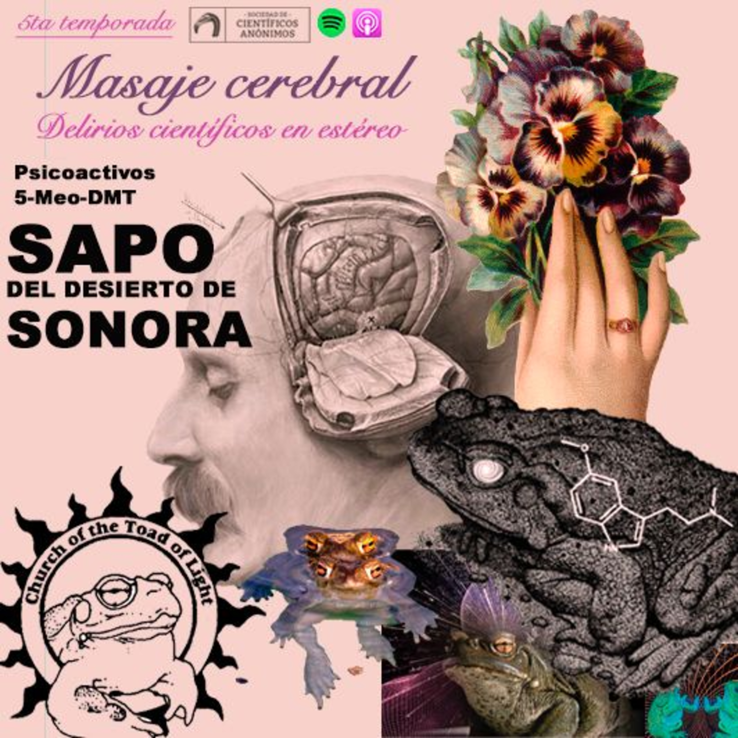 Masaje cerebral
