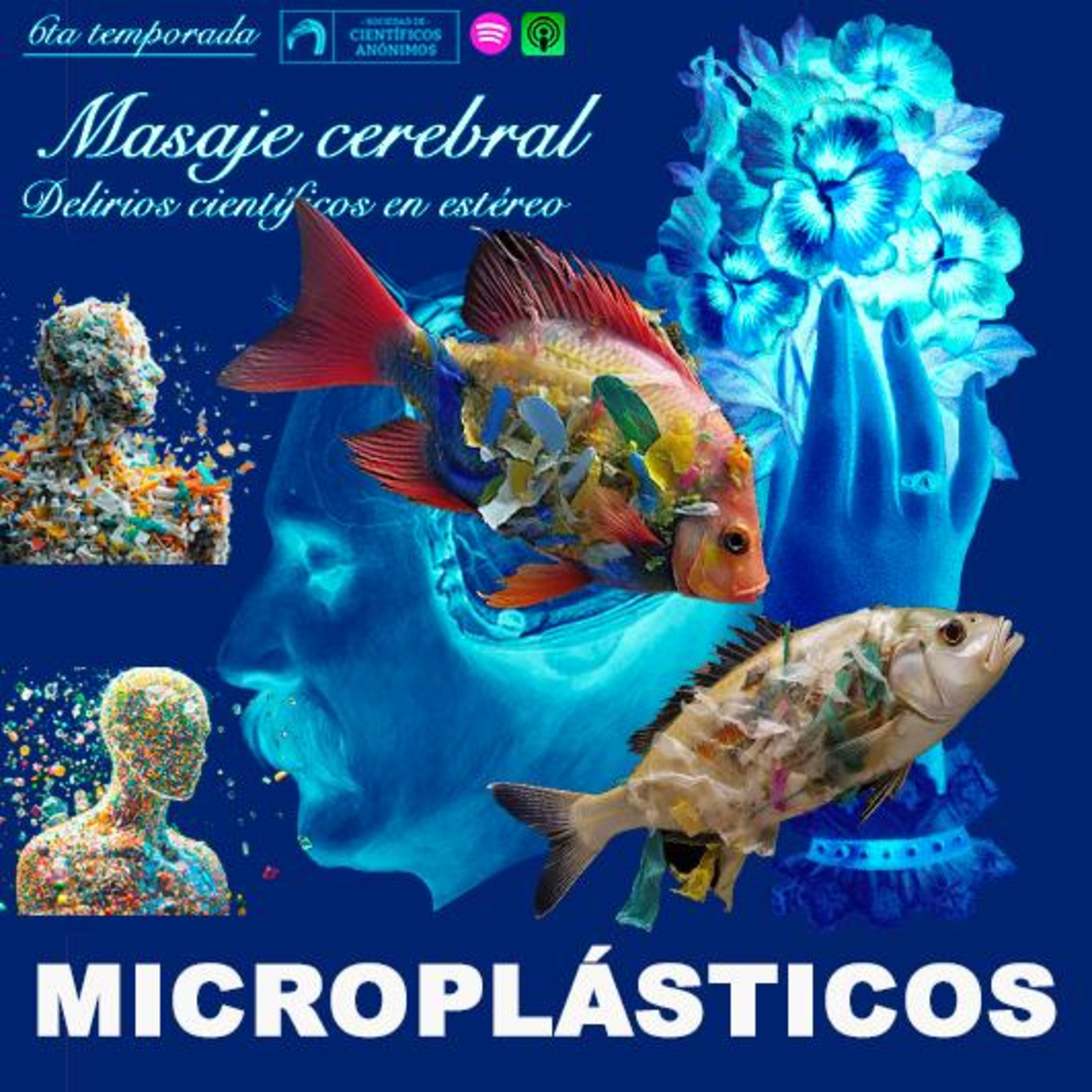 Masaje cerebral