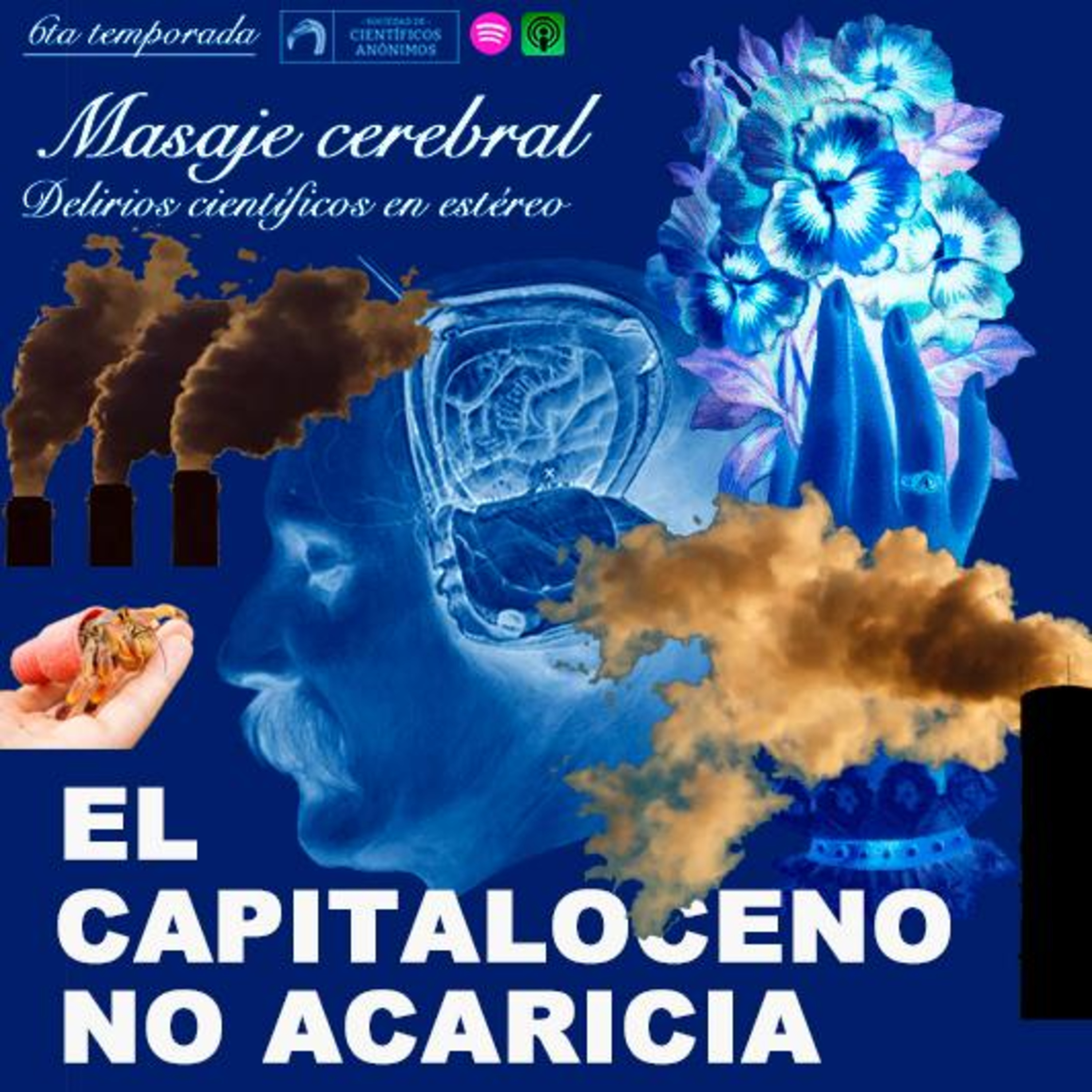 Masaje cerebral