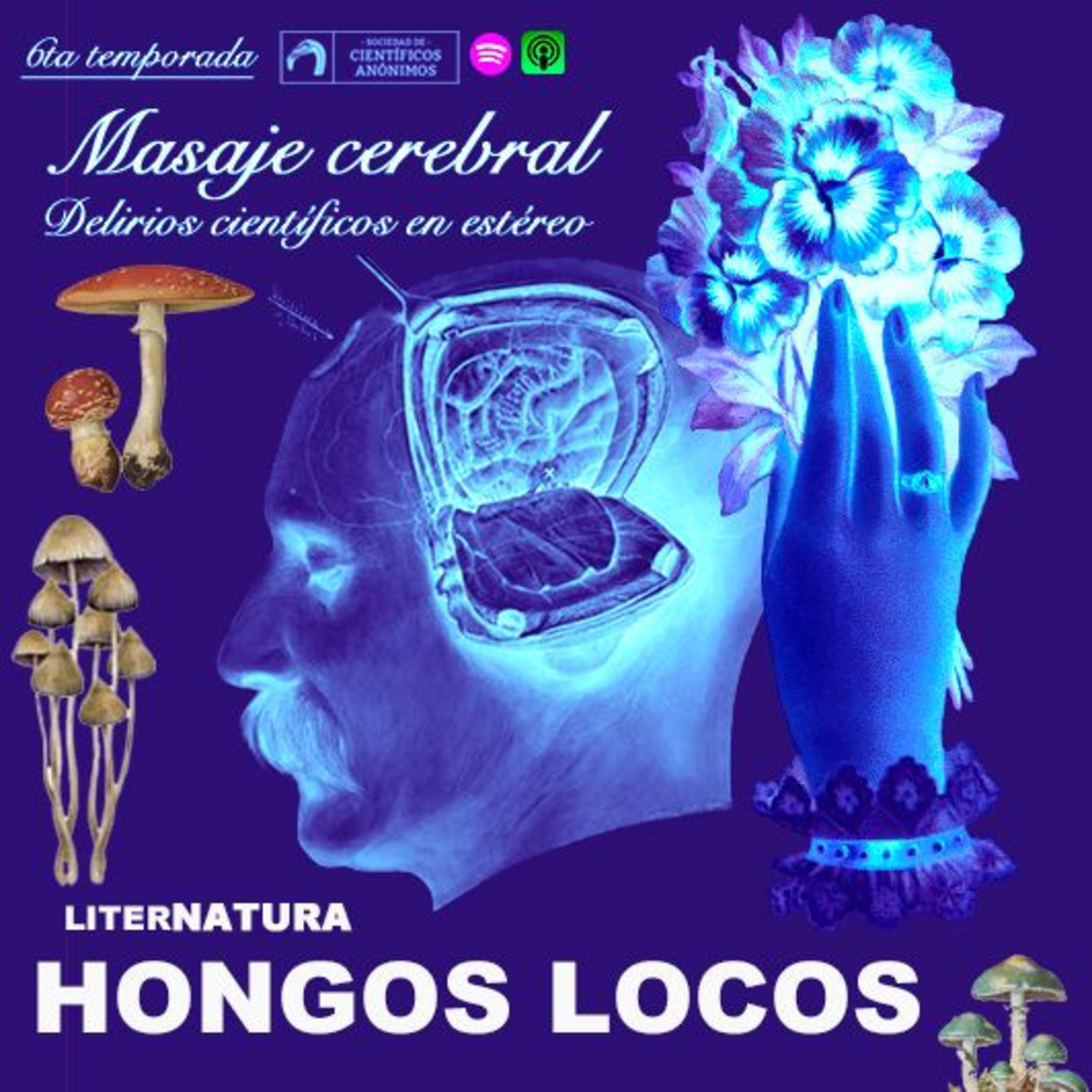 Masaje cerebral
