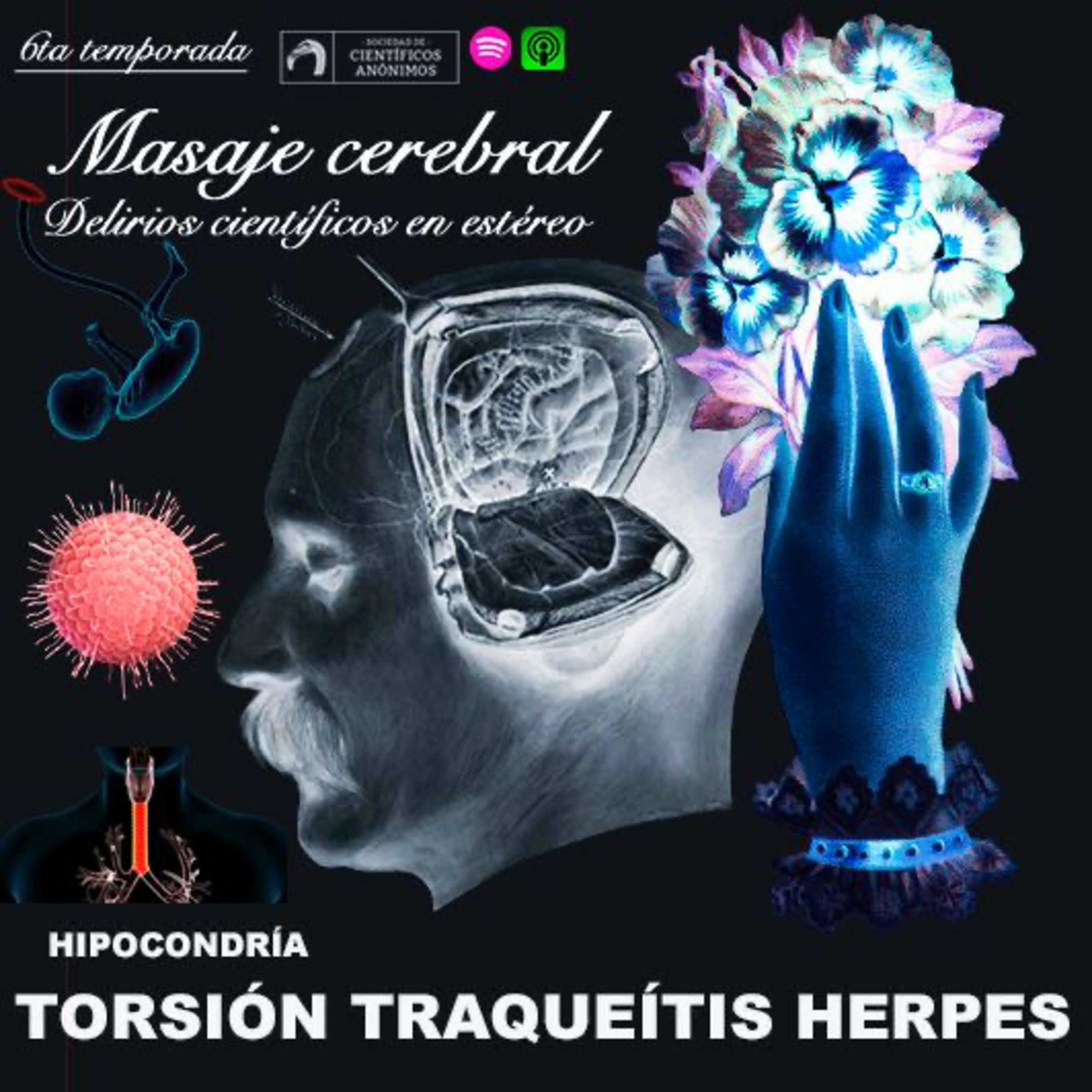 Masaje cerebral