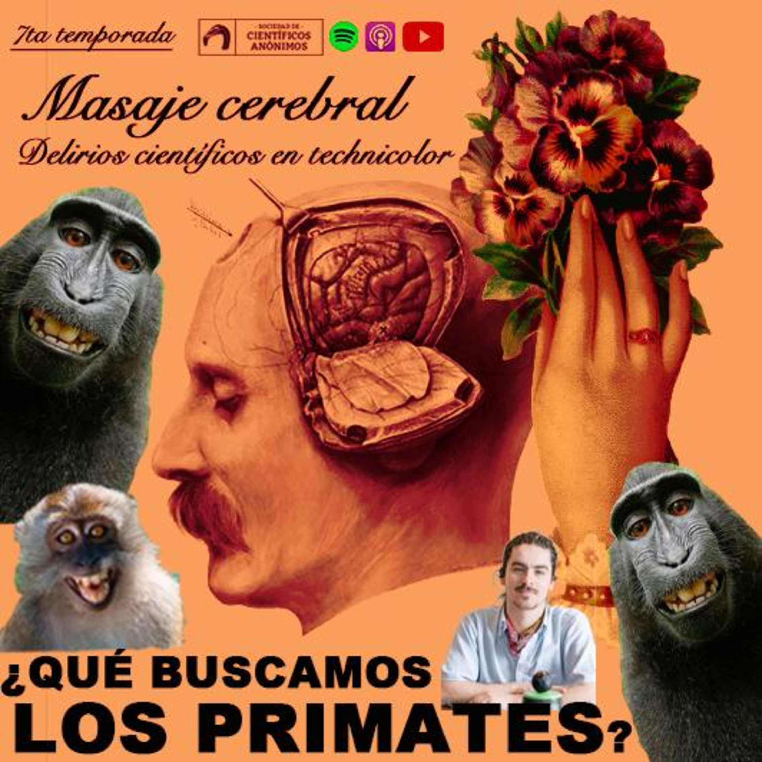 ¿QUÉ BUSCAMOS LOS PRIMATES?