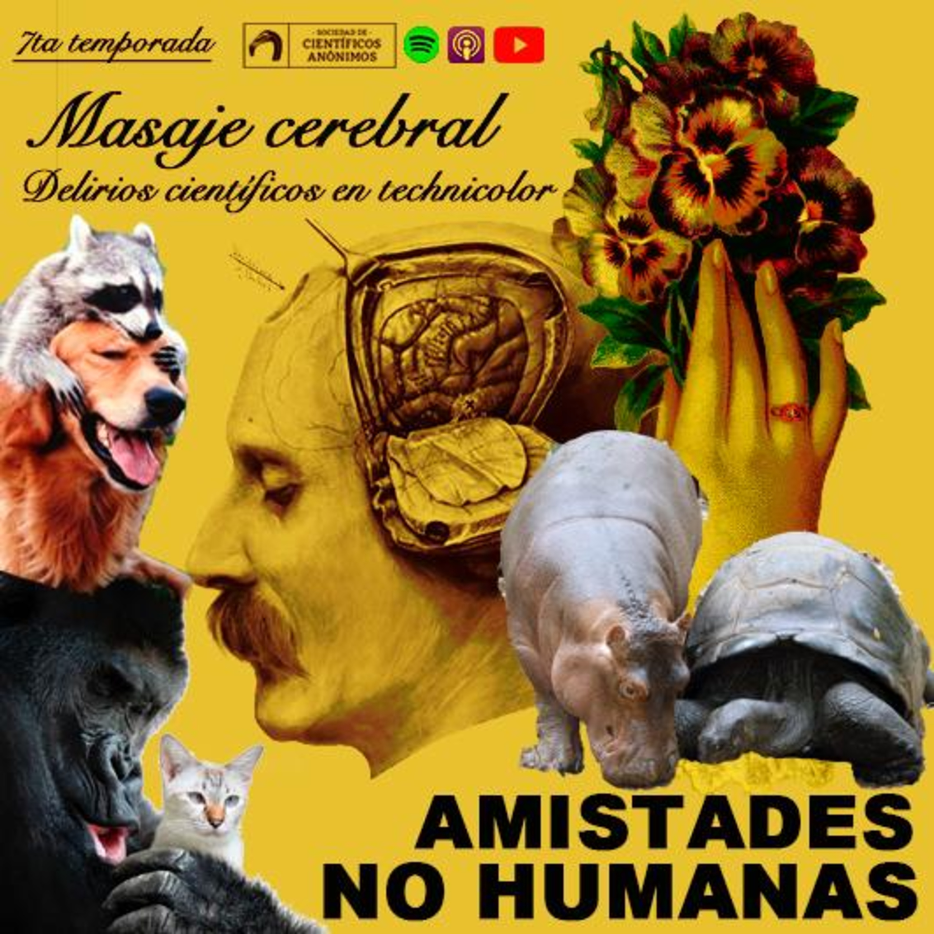 AMISTADES NO HUMANAS