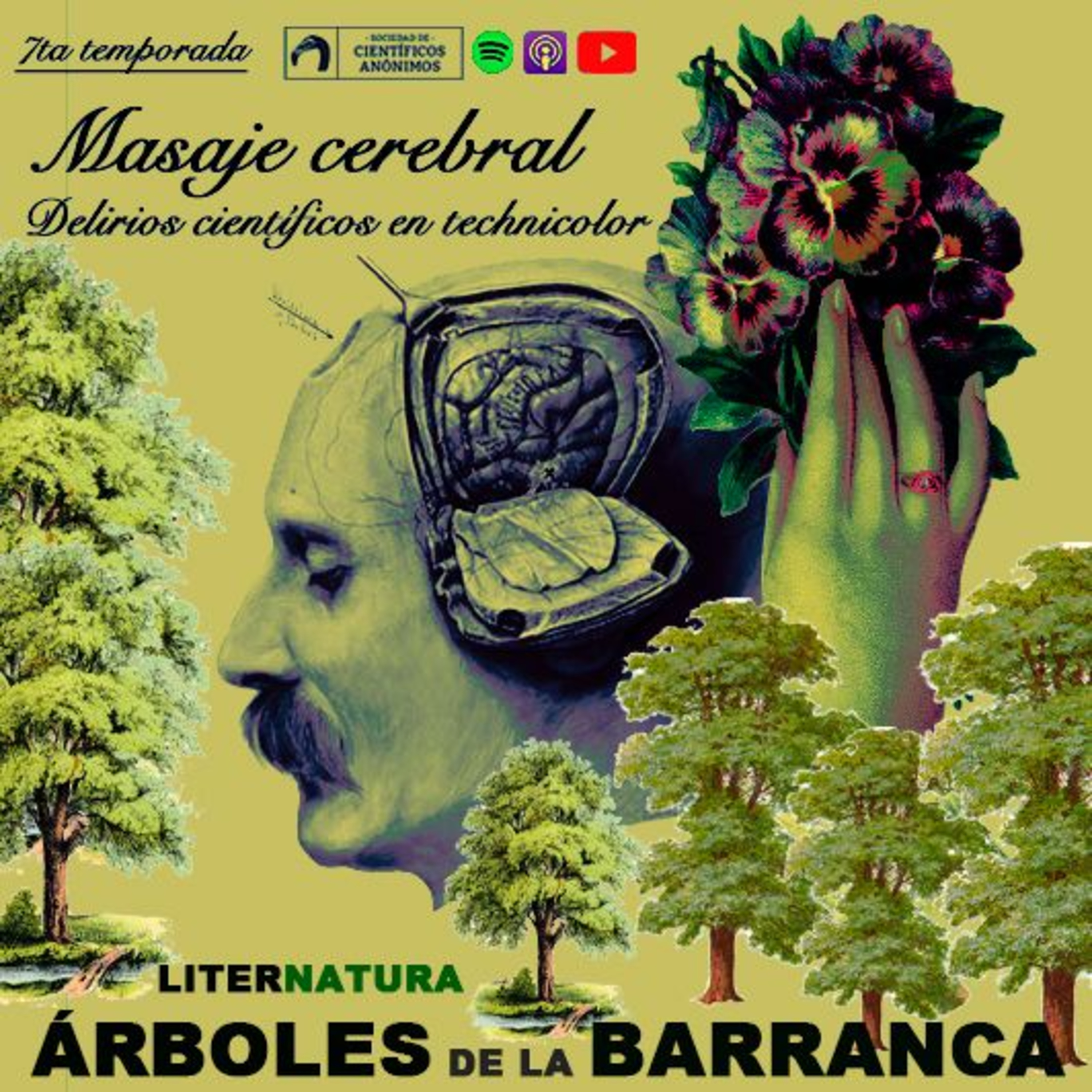 ÁRBOLES DE LA BARRANCA