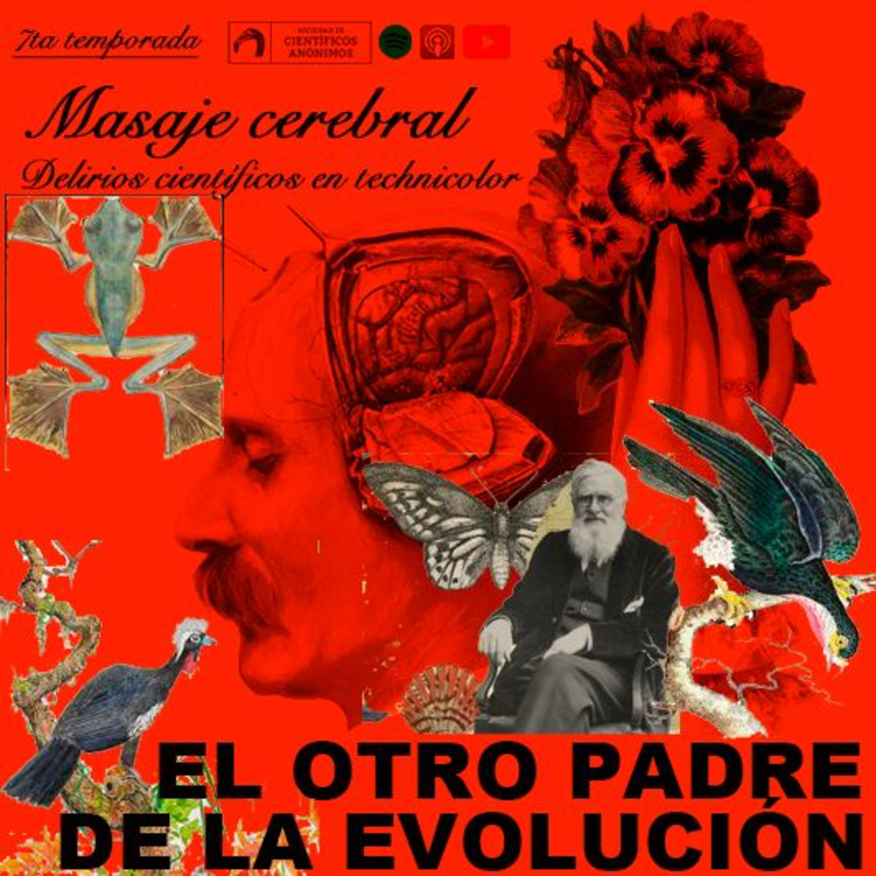 EL OTRO PADRE DE LA EVOLUCIÓN