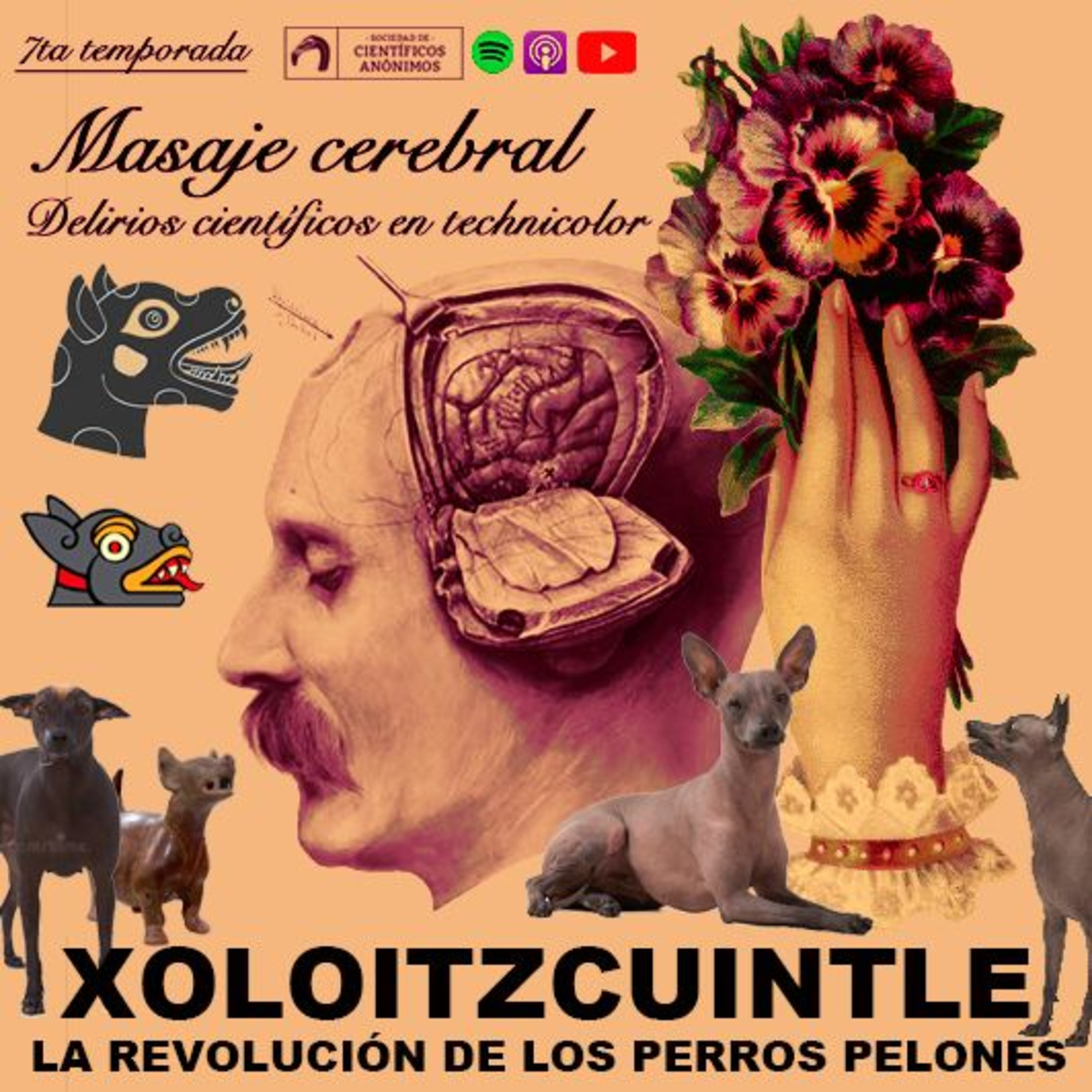 XOLOITZCUINTLE, LA REVOLUCIÓN DE LOS PERROS PELONES