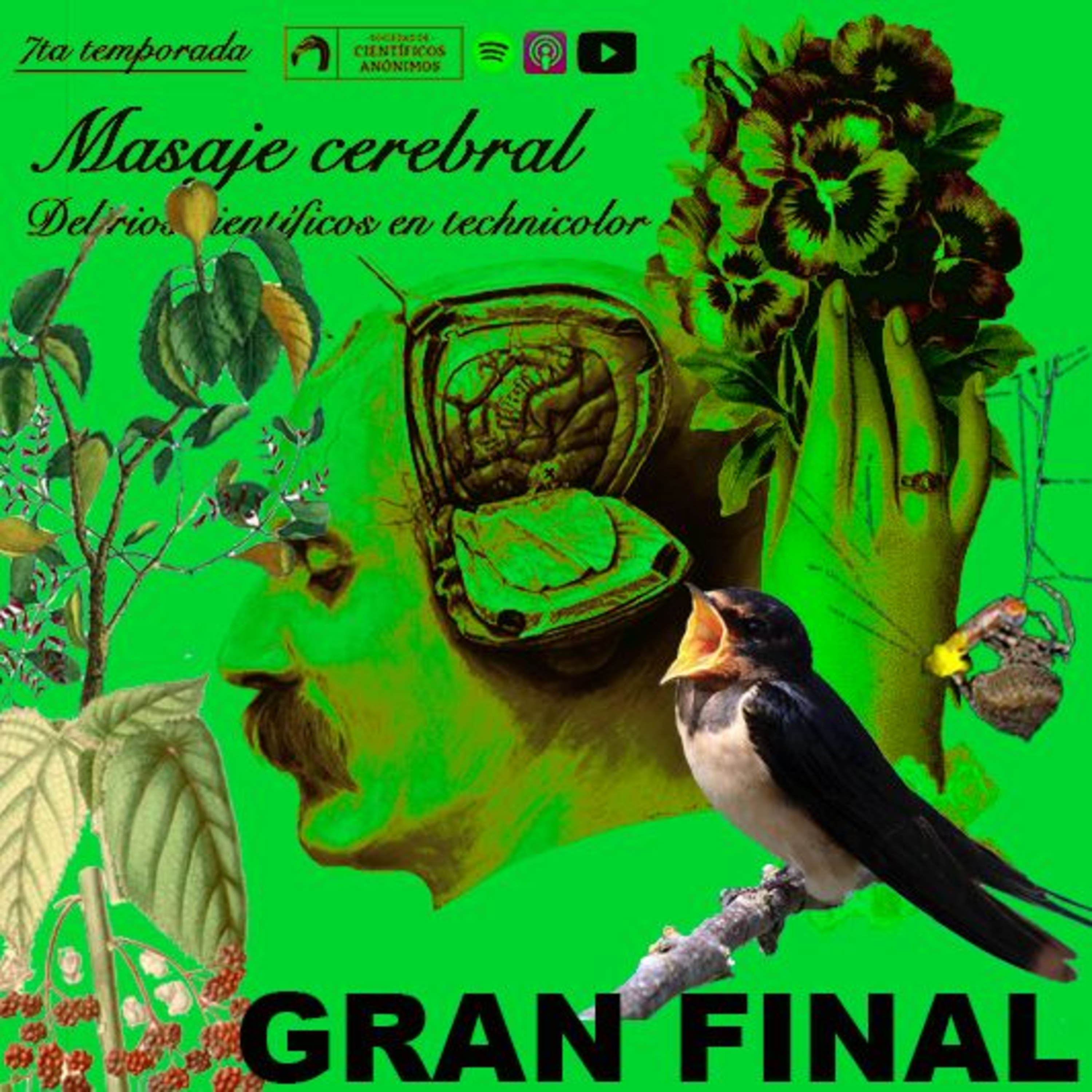 GRAN FINAL