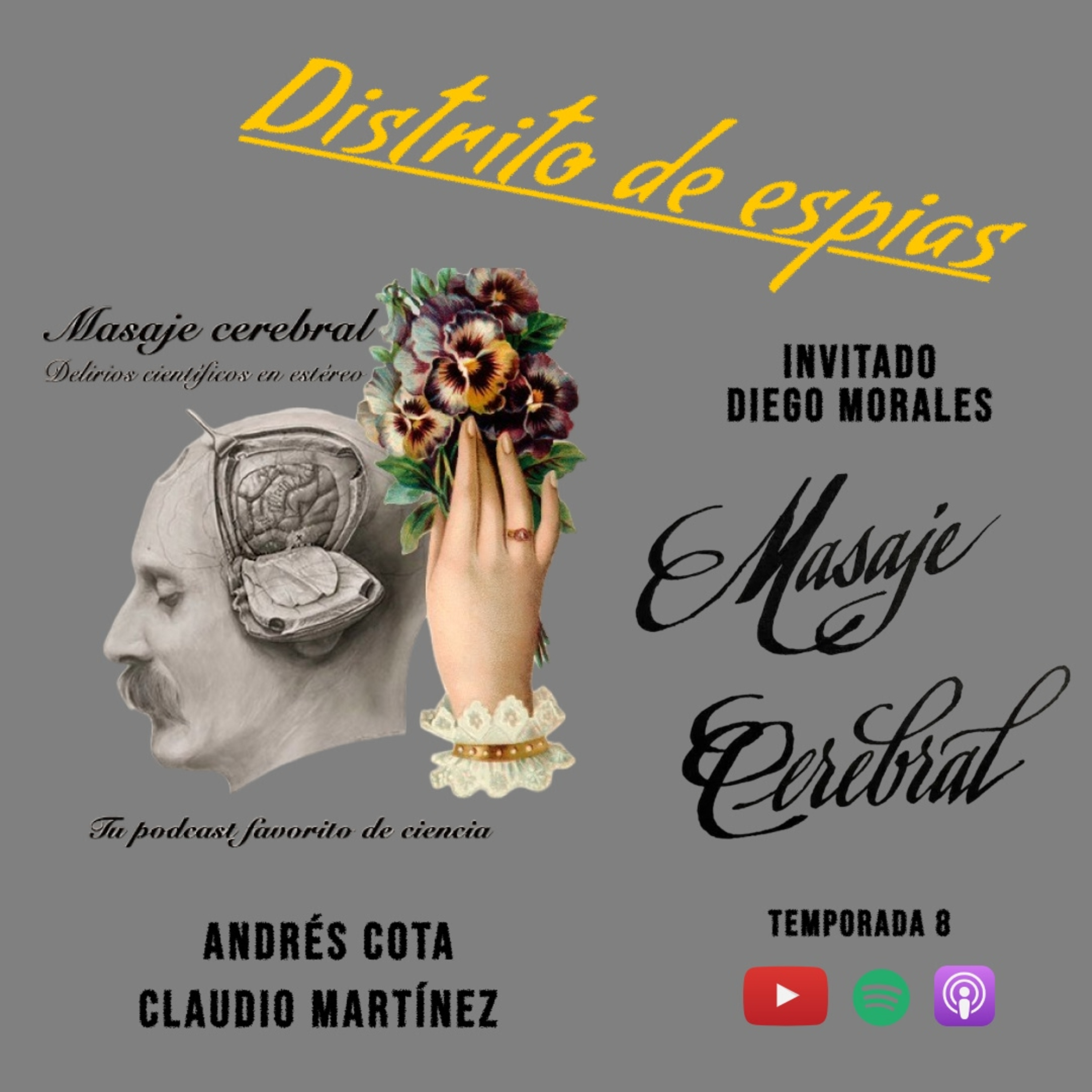 DISTRITO DE ESPÍAS episode artwork