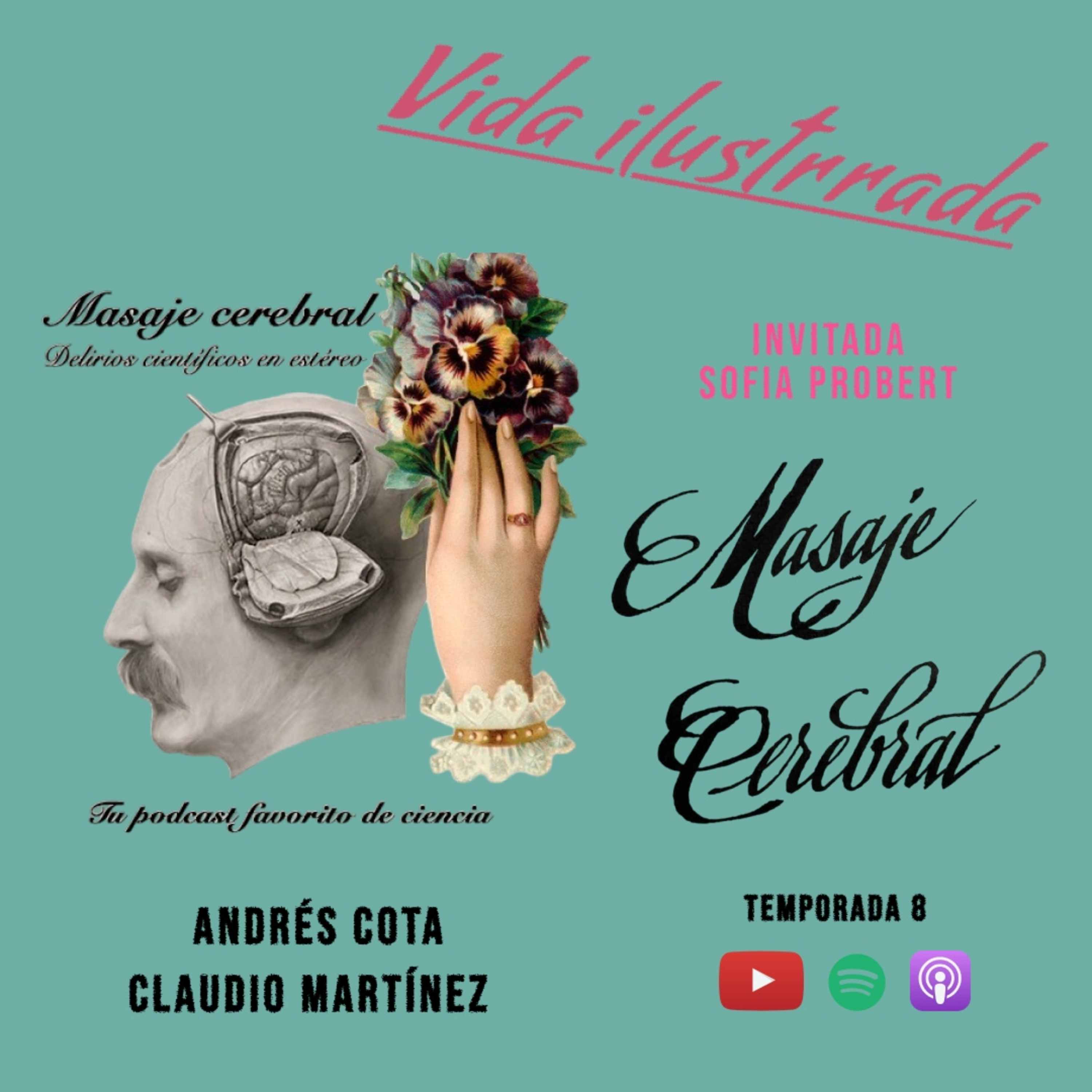 Portada de Masaje Cerebral