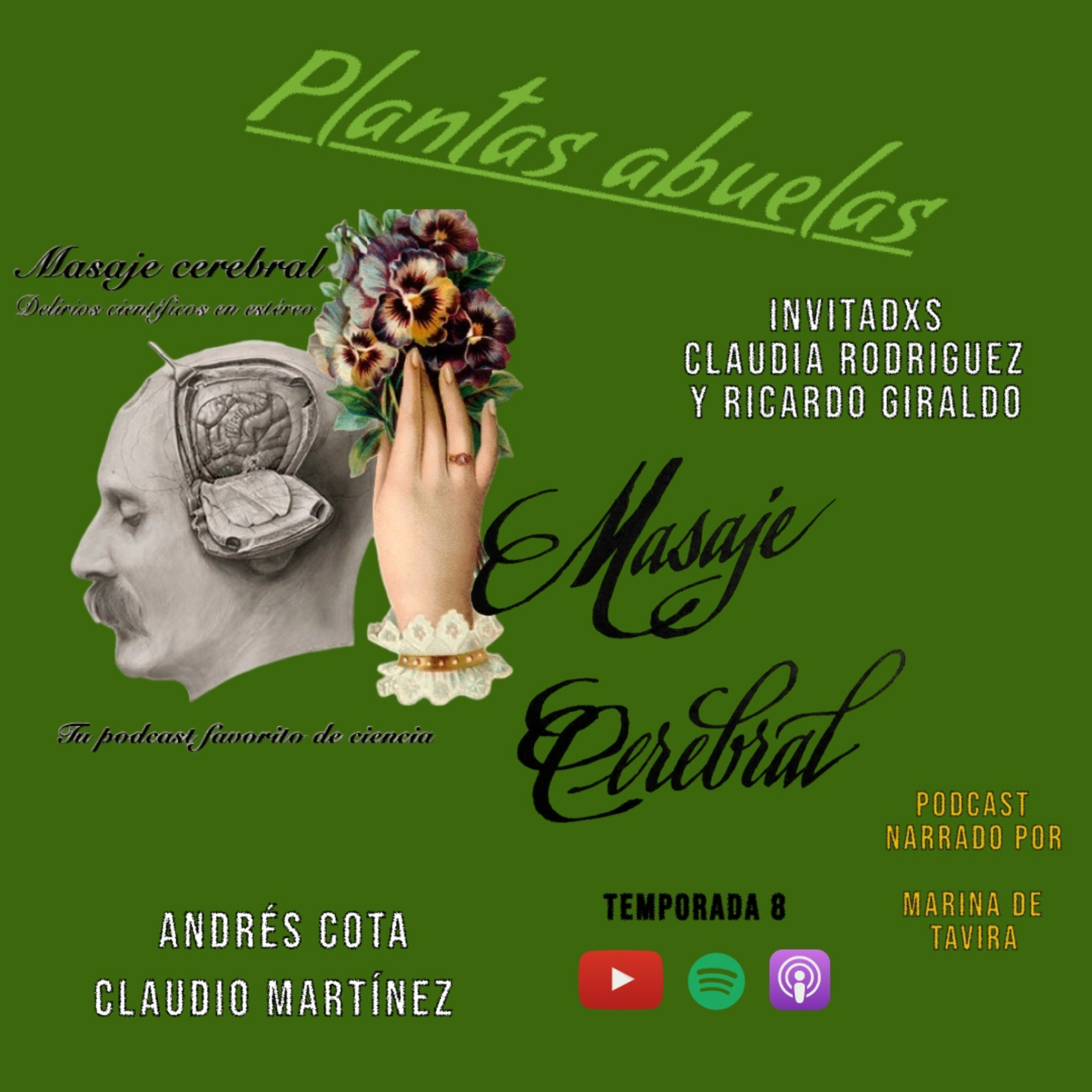 Portada de Masaje Cerebral