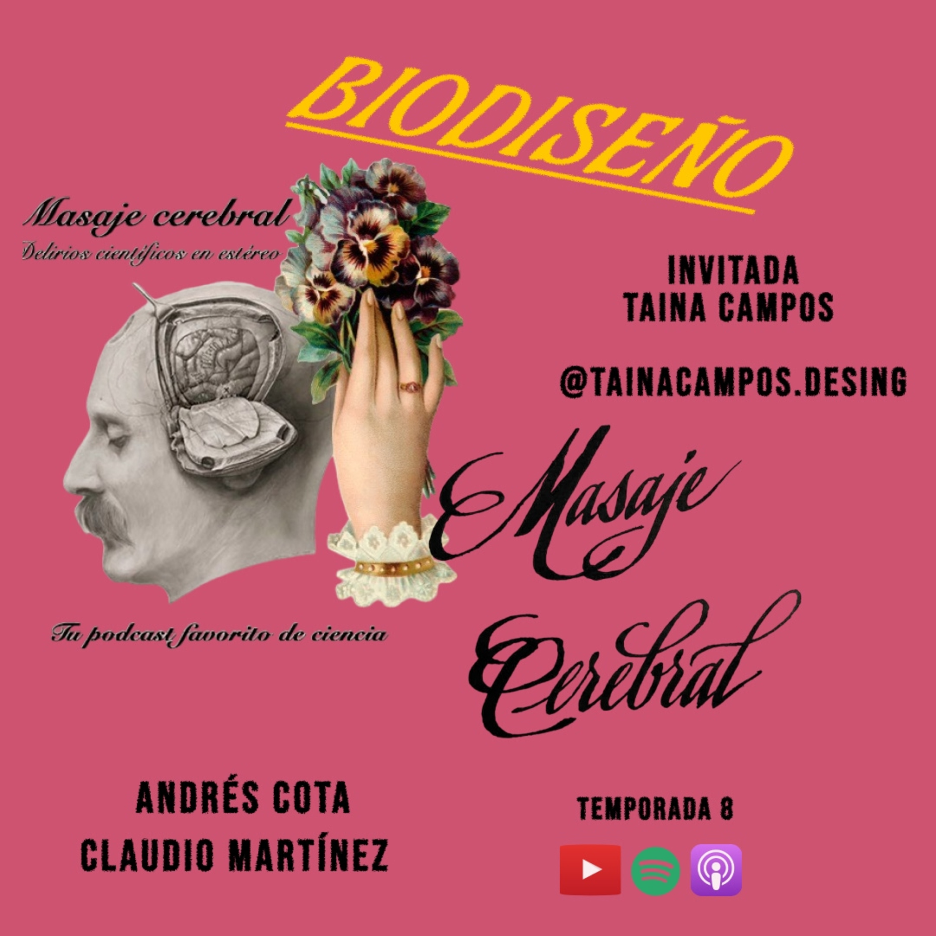Portada de Masaje Cerebral