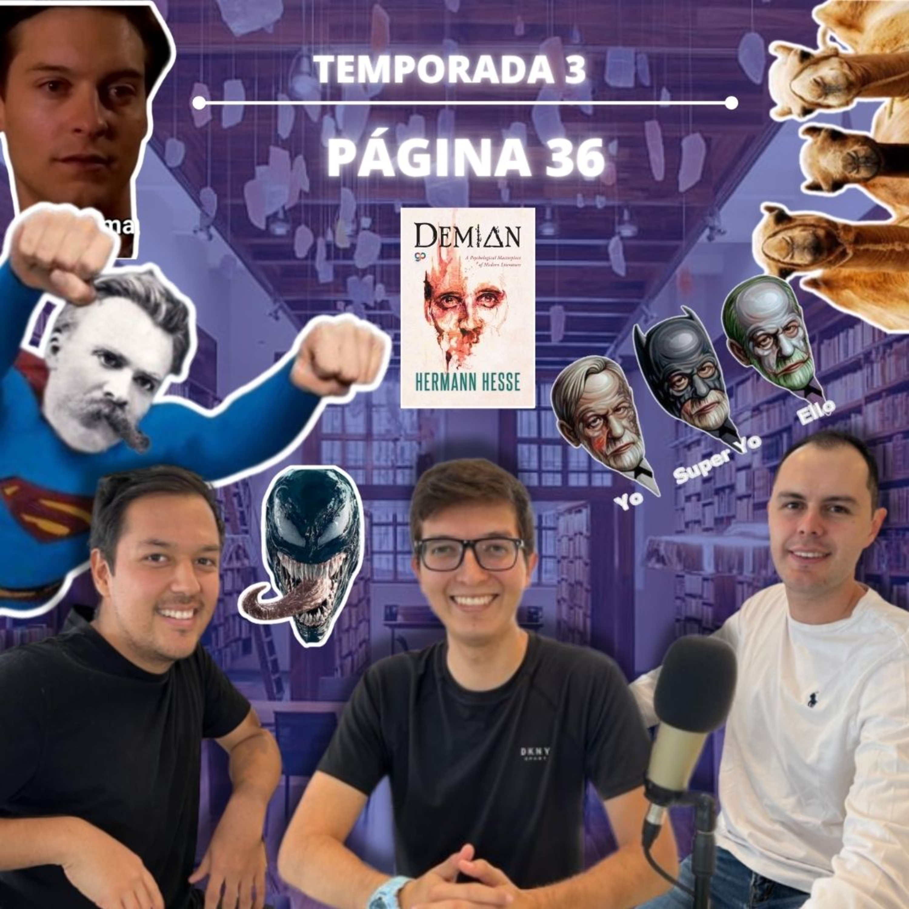 Contraportada