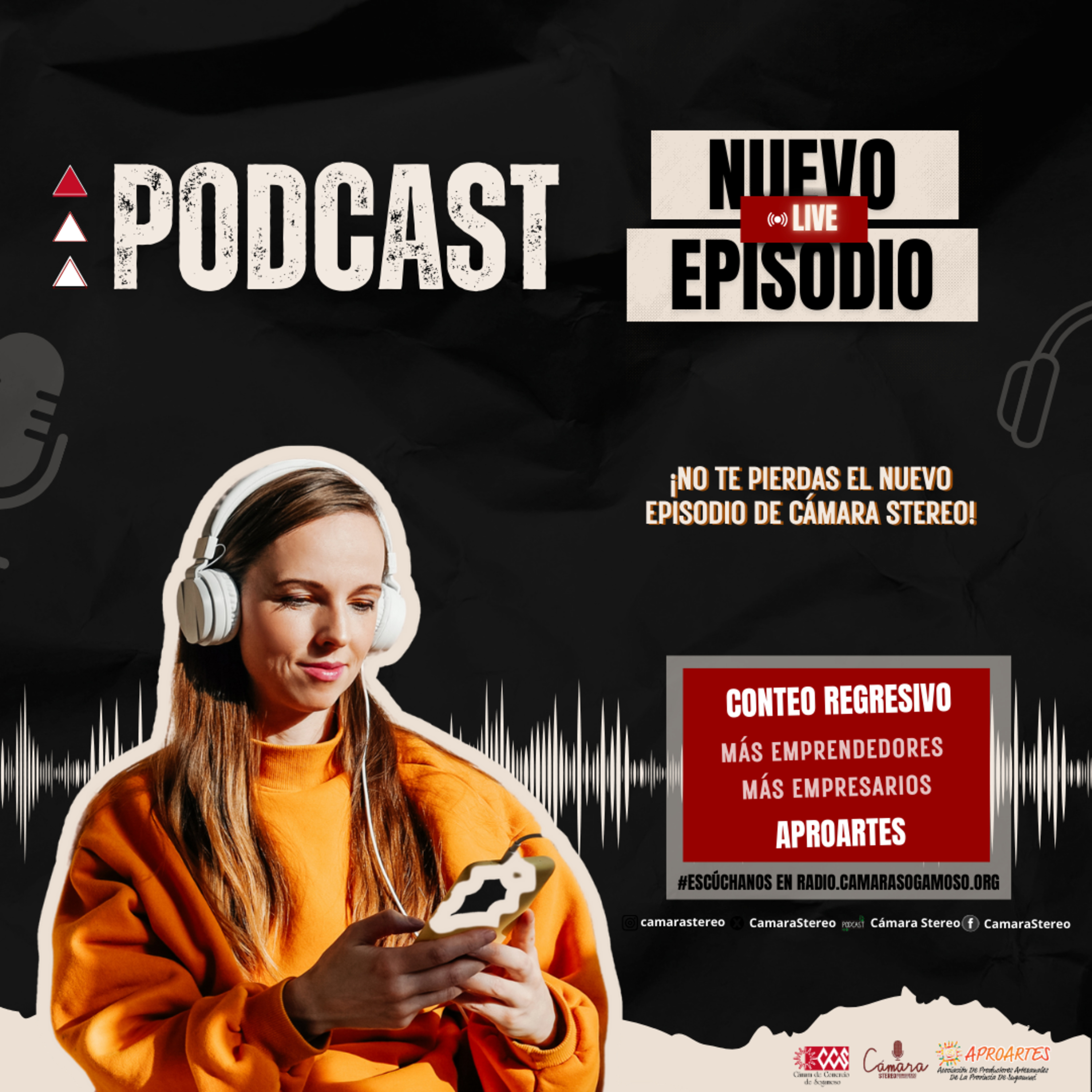 Cámara Stereo