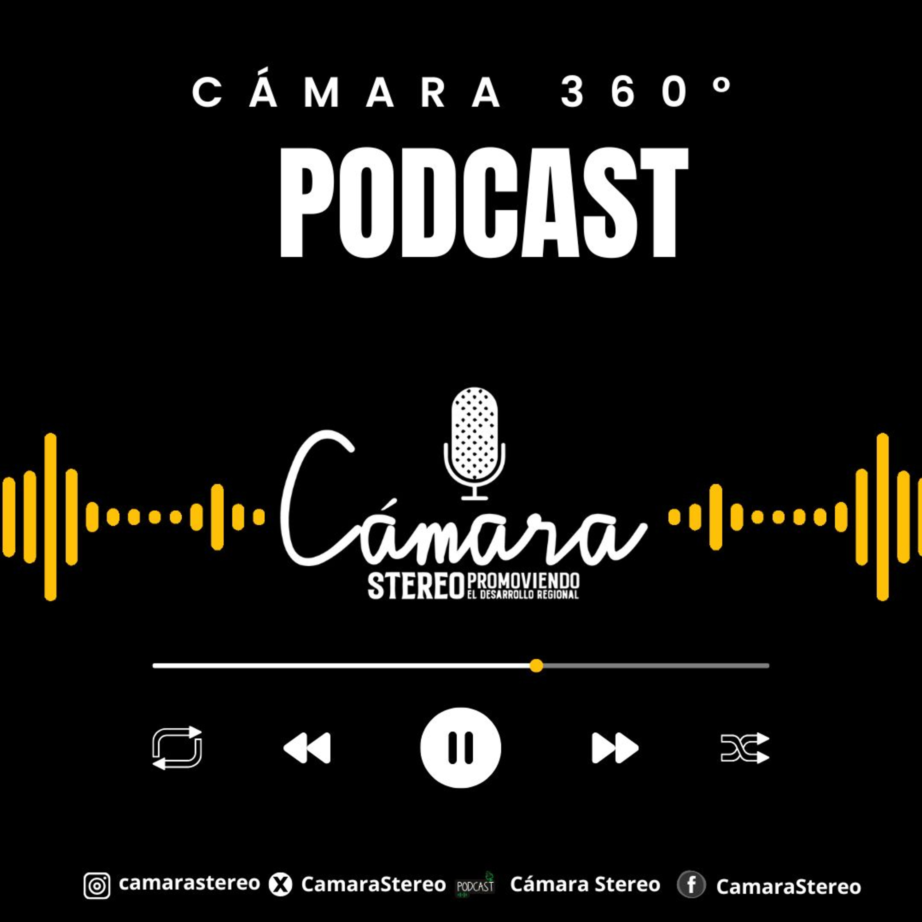 Cámara Stereo
