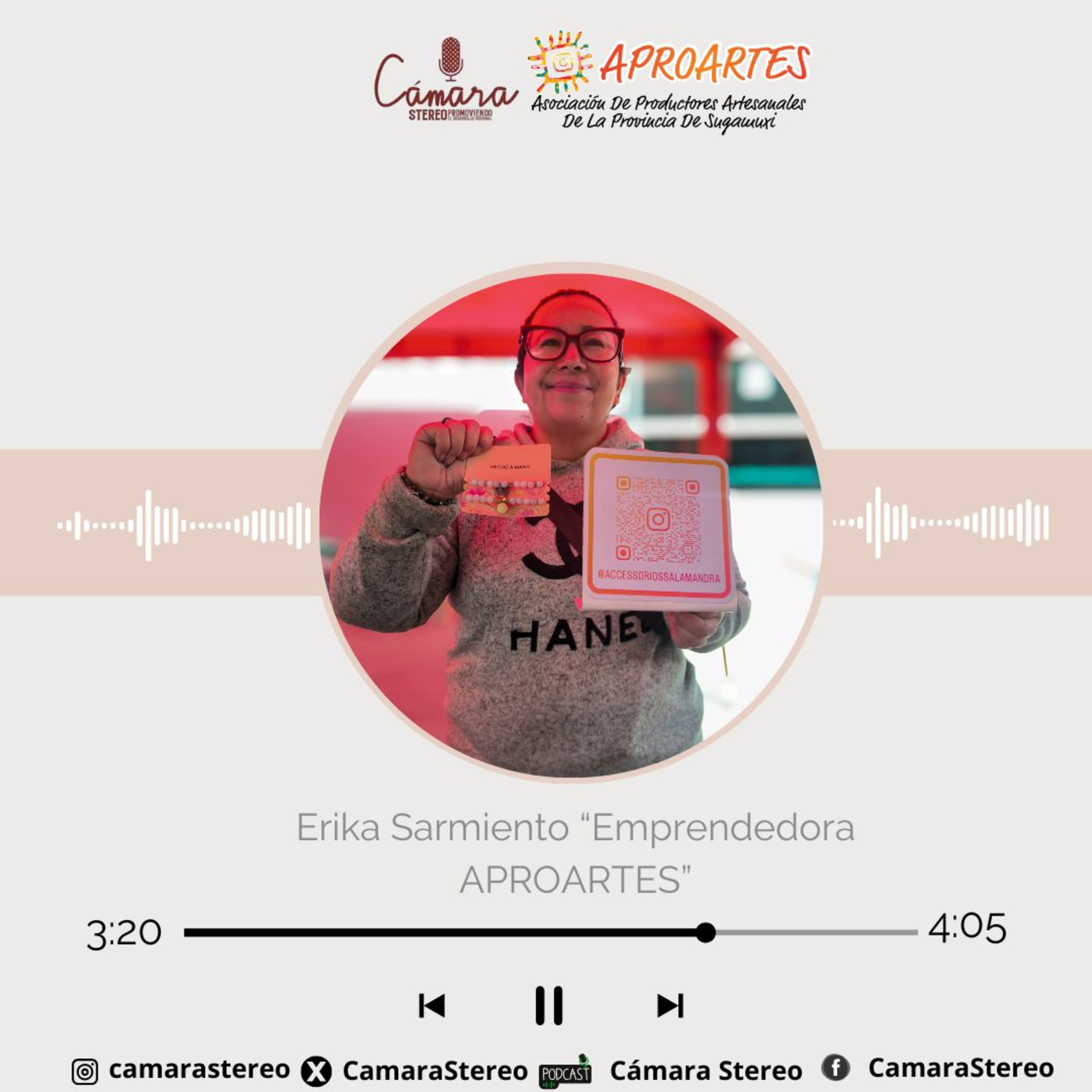 Cámara Stereo