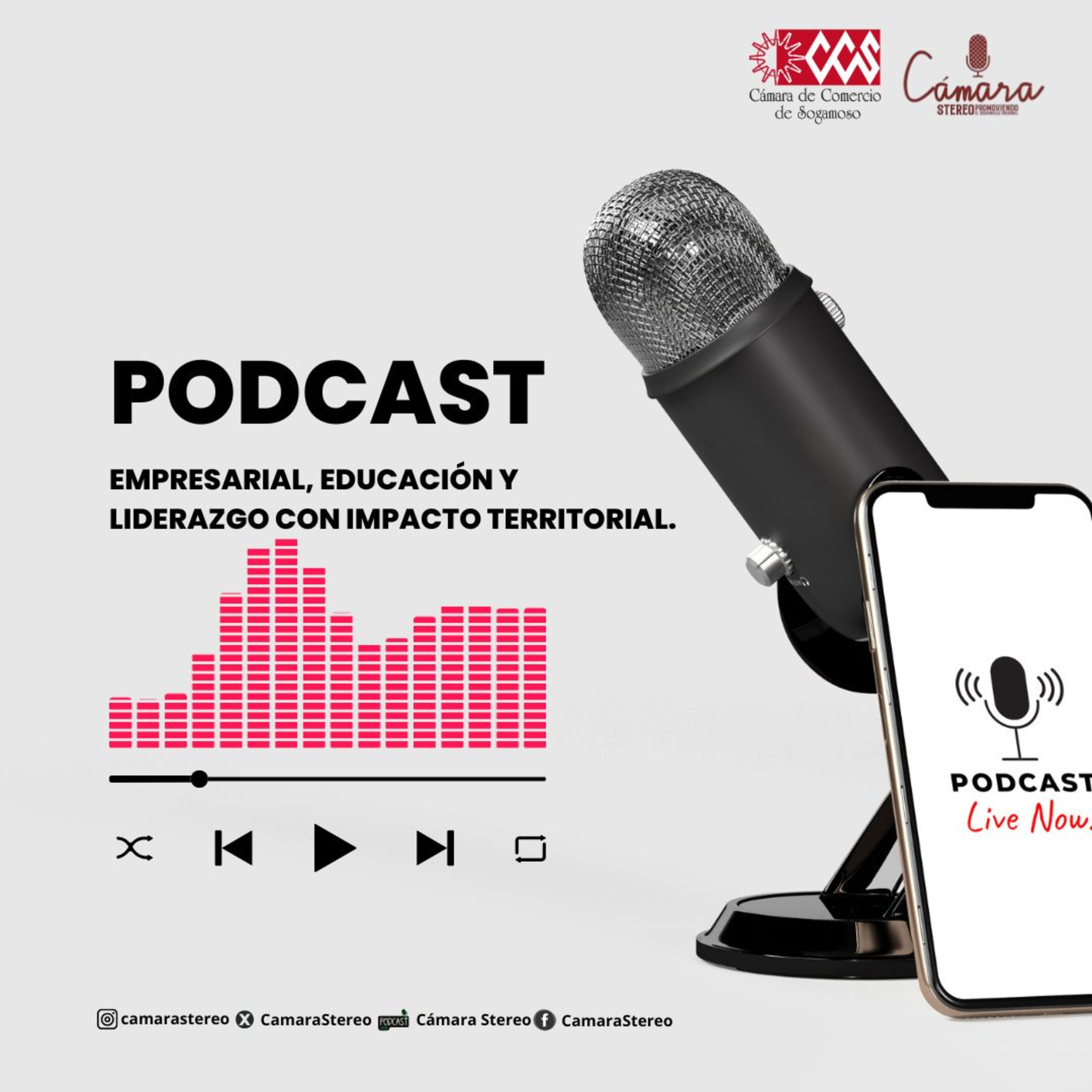 Cámara Stereo