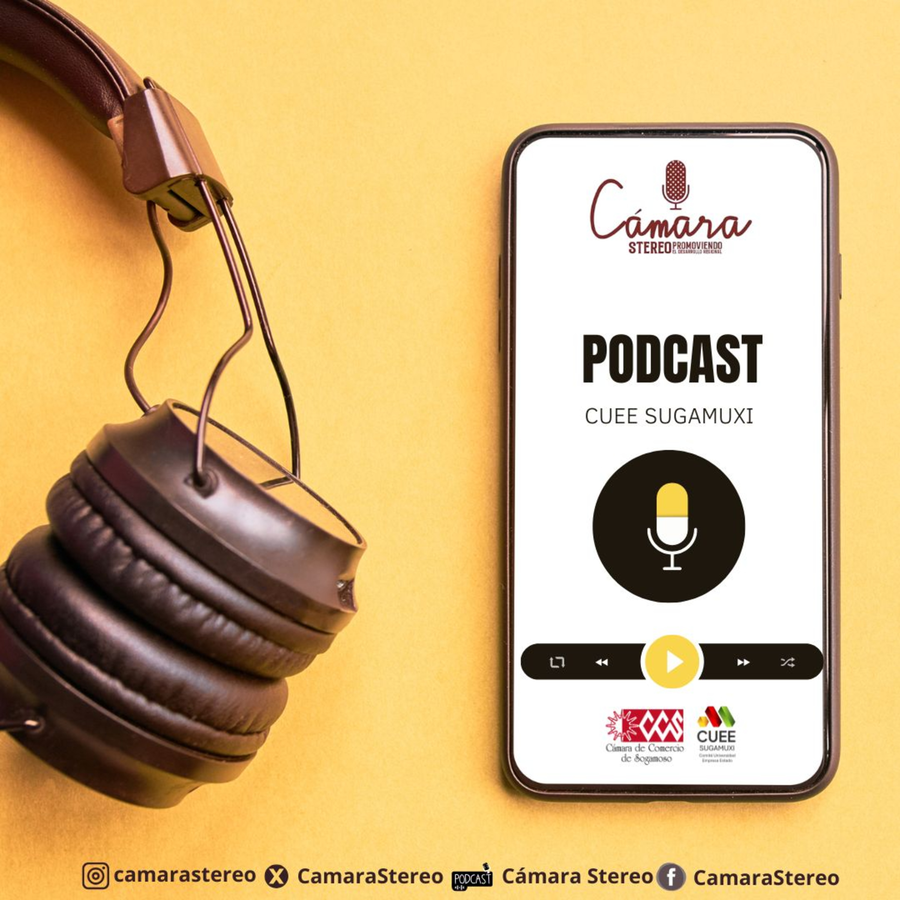 Cámara Stereo